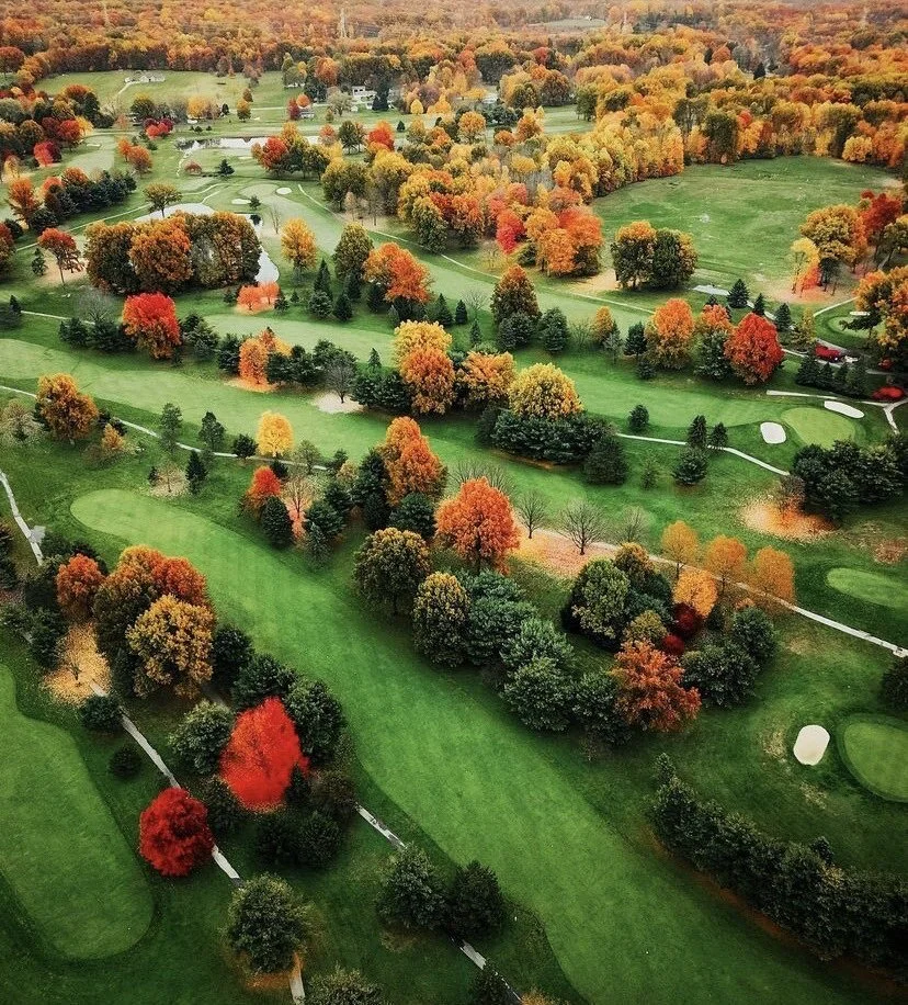 Fall Golf