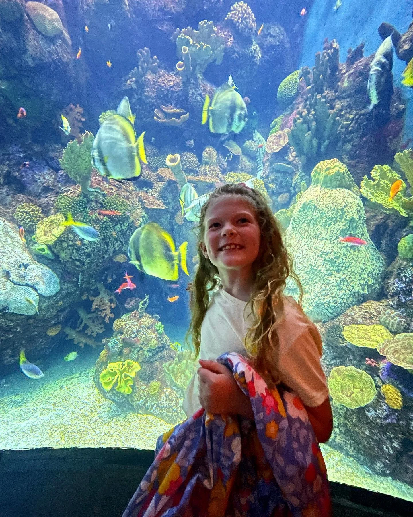 @shedd_aquarium is so magical. #ilovechicago