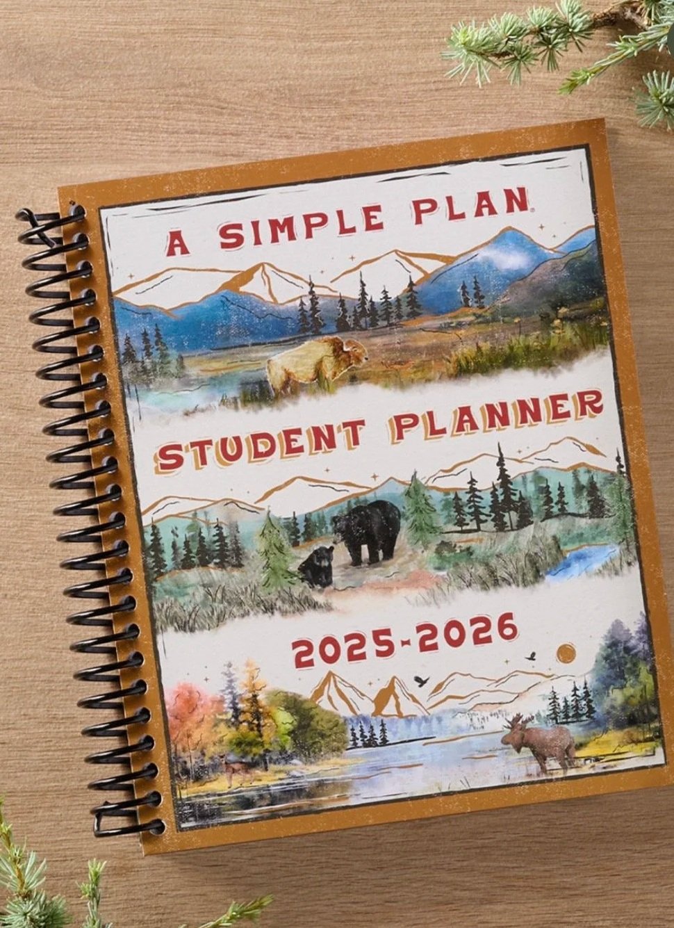 A Simple Plan Planners