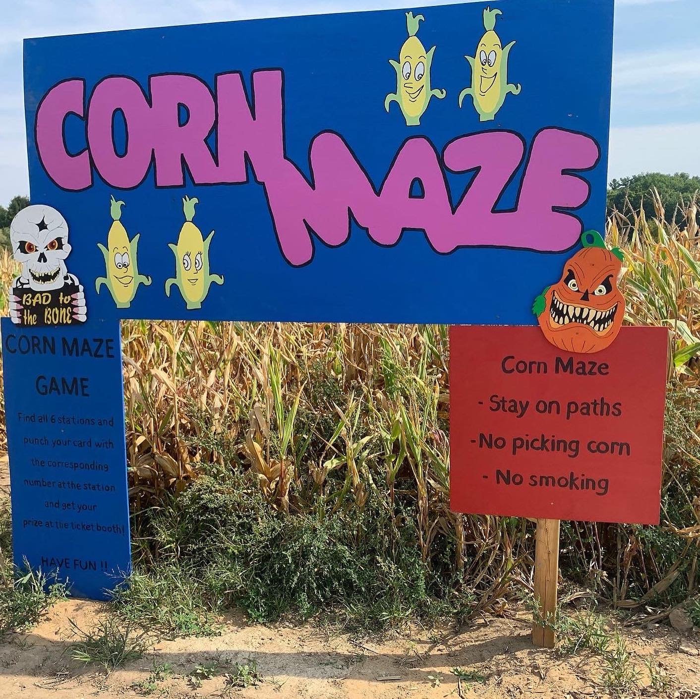 cornmaze.jpg