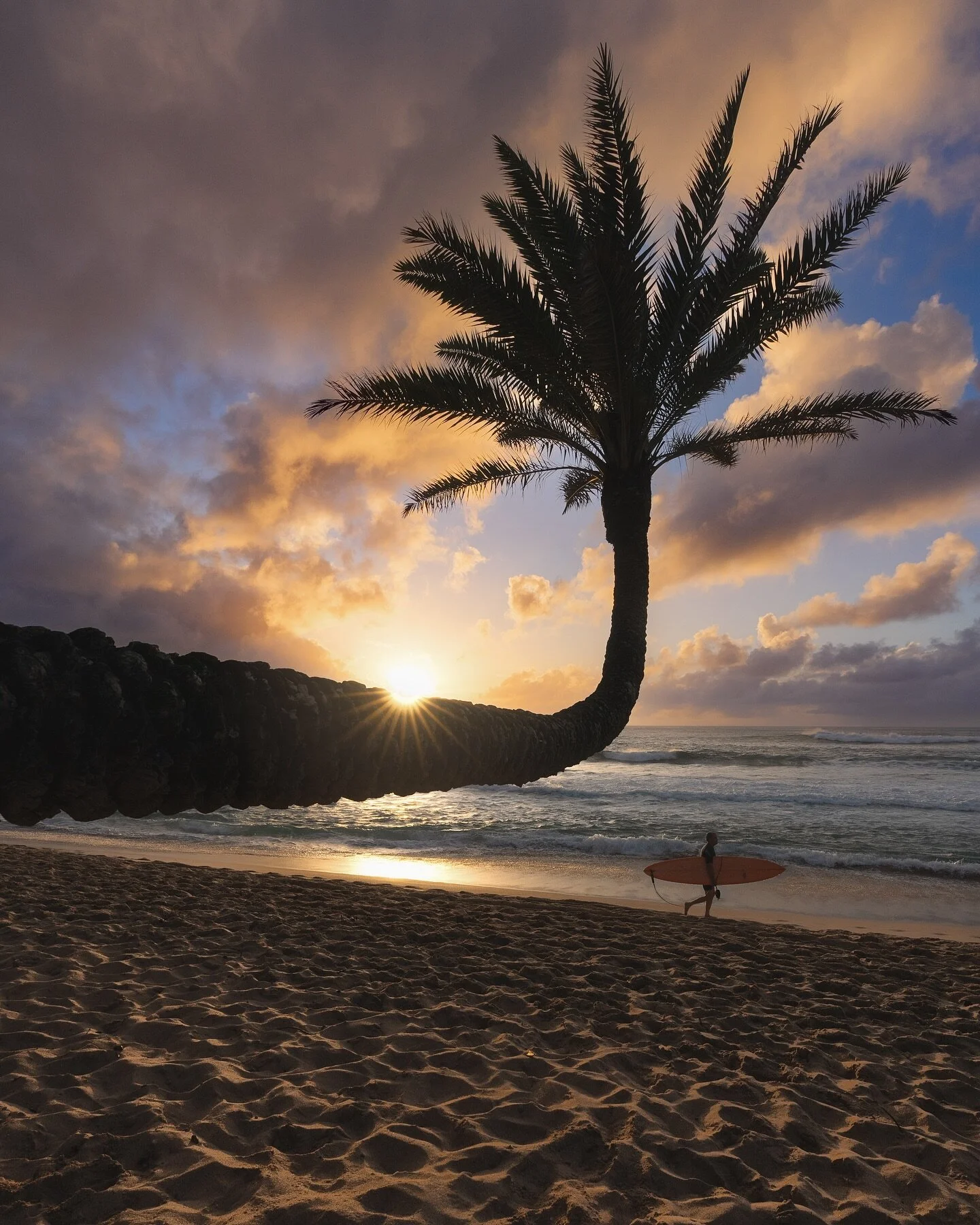 Sending you all some aloha! 🌴 🍍 🌅 
.
.
.
#oahu #oahuhawaii #kailua #oahulife #hawaii #hawaiianislands #hawaiian #sunrise #sunset #honolulu #aloha #paradise #hellofrom #splendid_earth  #earthpix #NeverStopExploring #modernoutdoors #OurPlanetDaily