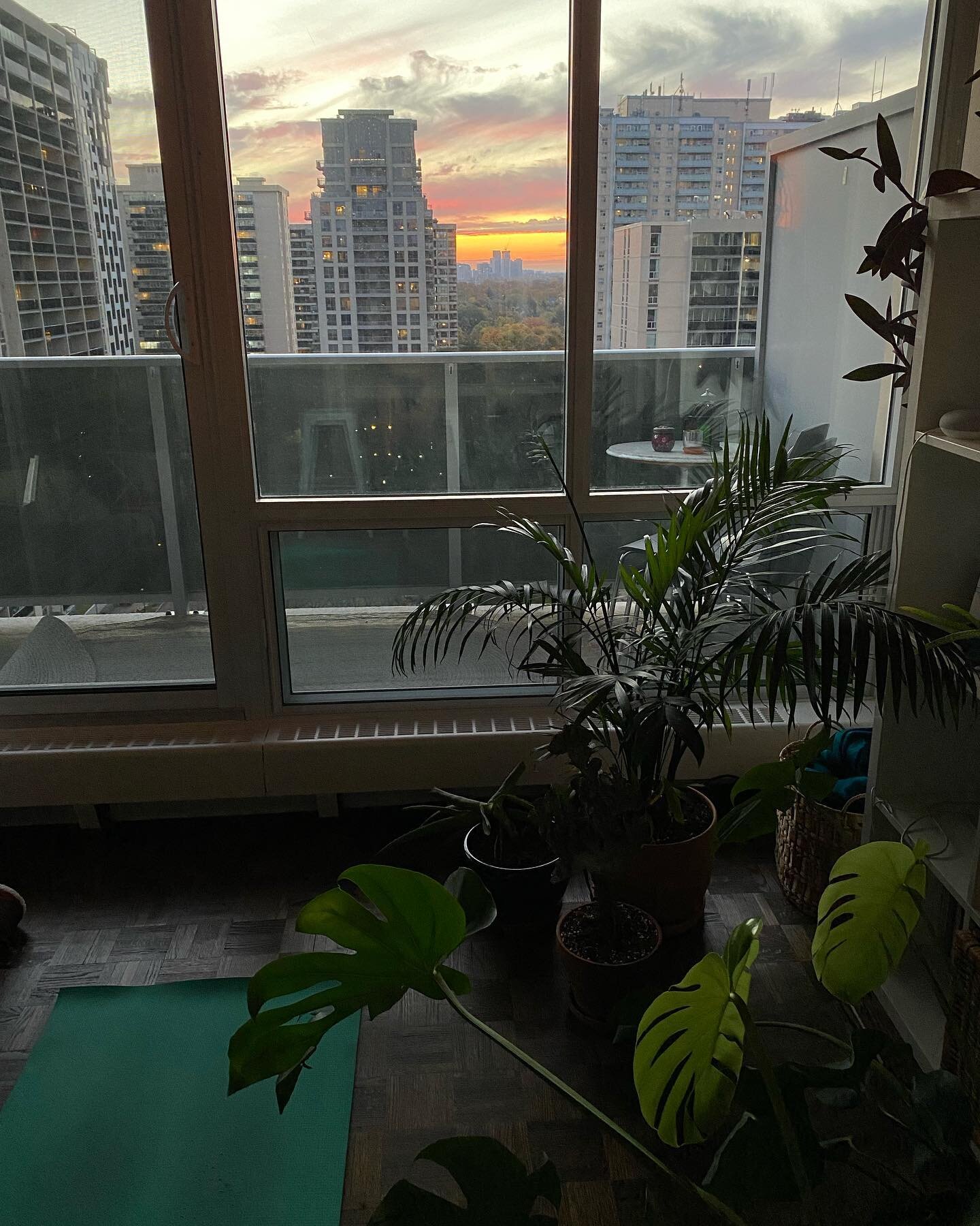 Sunset yoga, finding time to go in after an amazing first week at Equilibrium ✨