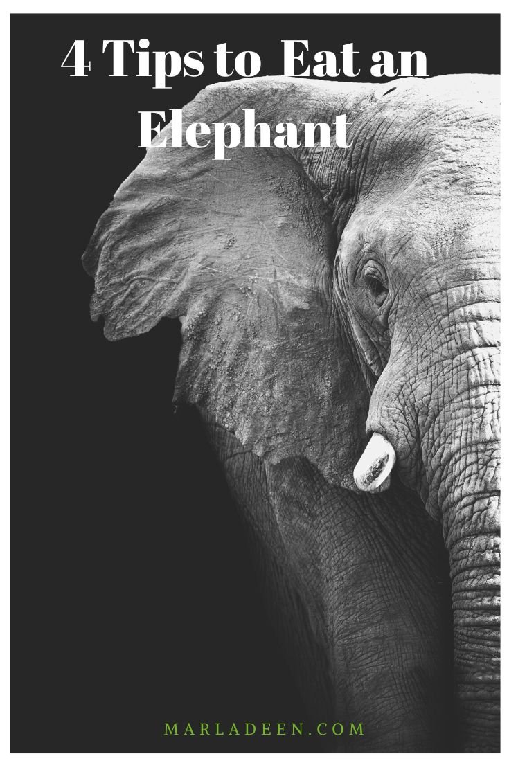 Four Tips to Eat an Elephant