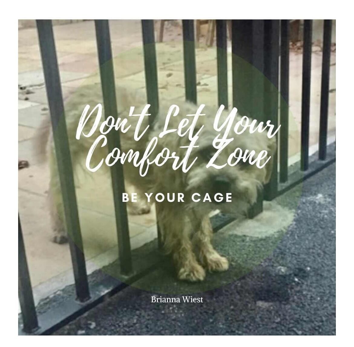 I&rsquo;ve been sitting with this sentence that jumped out at me from Brianna Wiest&rsquo;s book, The Pivot Year.

I&rsquo;m a big believer in the power of getting out of our comfort zones - my latest post covers this topic and all the good things th