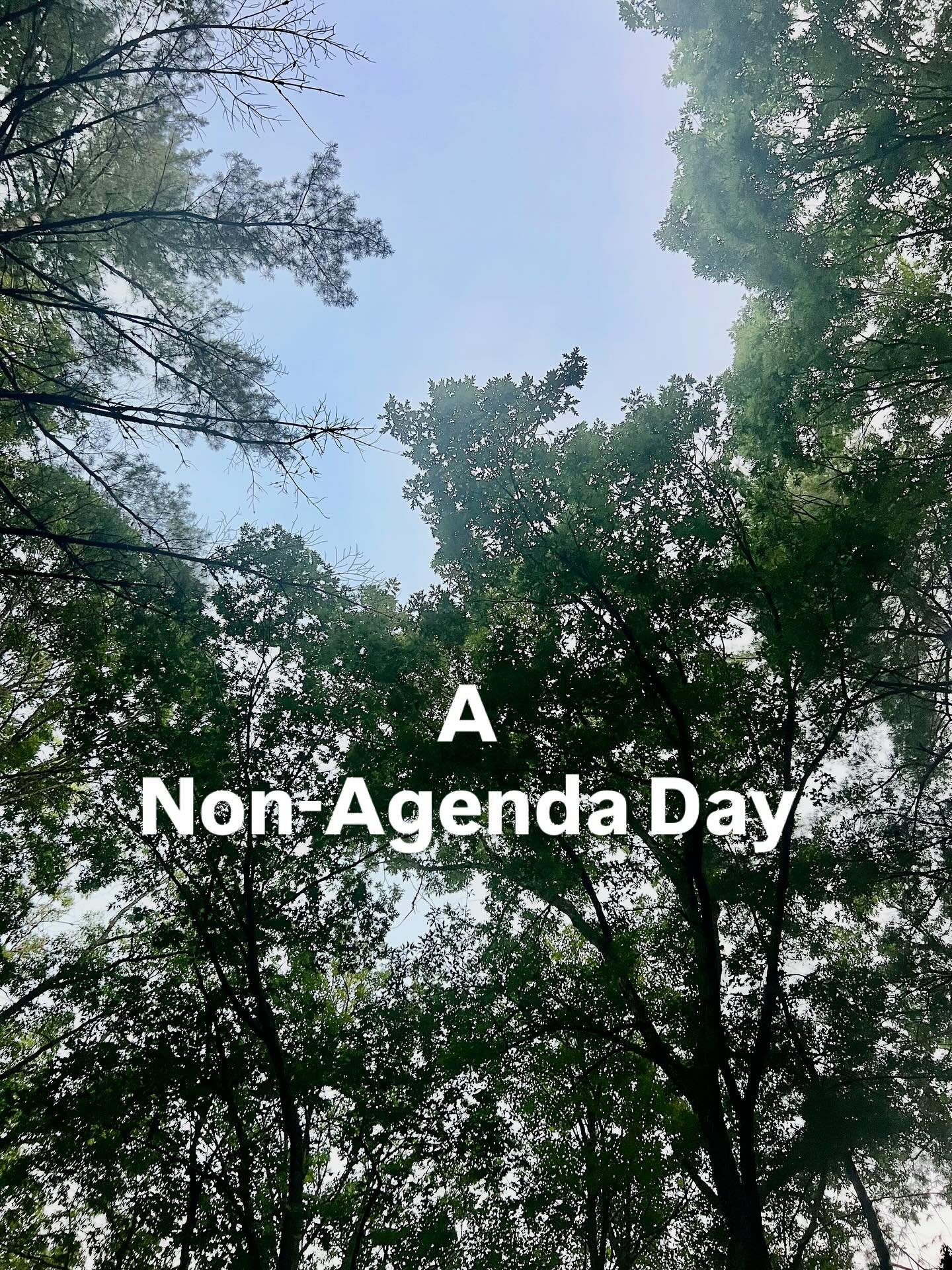 Yesterday I had what I called a Non-Agenda Day. I told a friend I wanted to have no schedule. 

And I didn&rsquo;t.
How often do we get the opportunity to do that?

So I exercised because I wanted to. I finished 2 books. I sat in the sun. And I did a