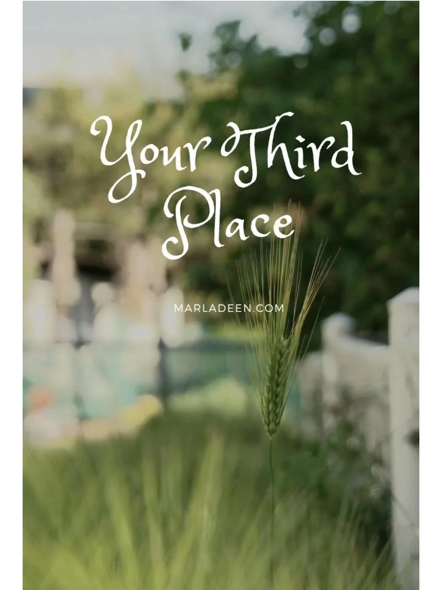 Latest newsletter thoughts- just in time for your weekend💚. 

I&rsquo;ve been thinking on this for some time and thought I was missing out. 

Even my dad had created his own Third Place. 

I bet you have your own, and may not even know it😉.

Though