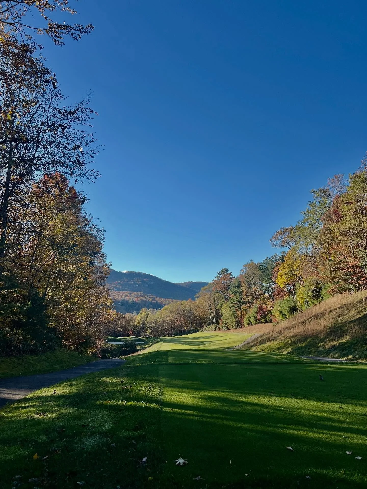 That sky💚
God was really showing off.

I spent the entire day sitting doing lawyer things. Late afternoon one voice on my shoulder was telling me I was tired, it&rsquo;s cold out, and curling on the couch would feel good. 

The other voice reminded 