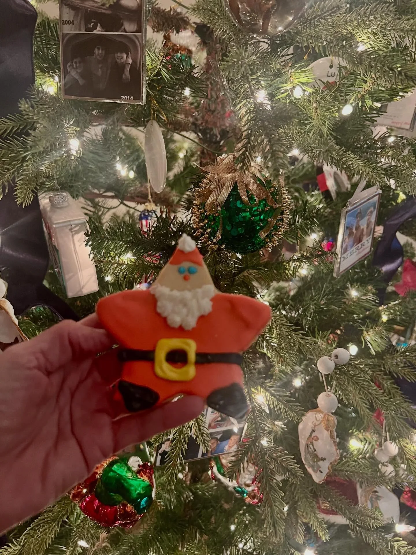 Just eat the cookie.
It&rsquo;s scrumptious.
So delicious.

I read a post recently where the poster said she was offered a Christmas cookie on her way home from work. She thought about the cookie and determined that was not &ldquo;the person she want