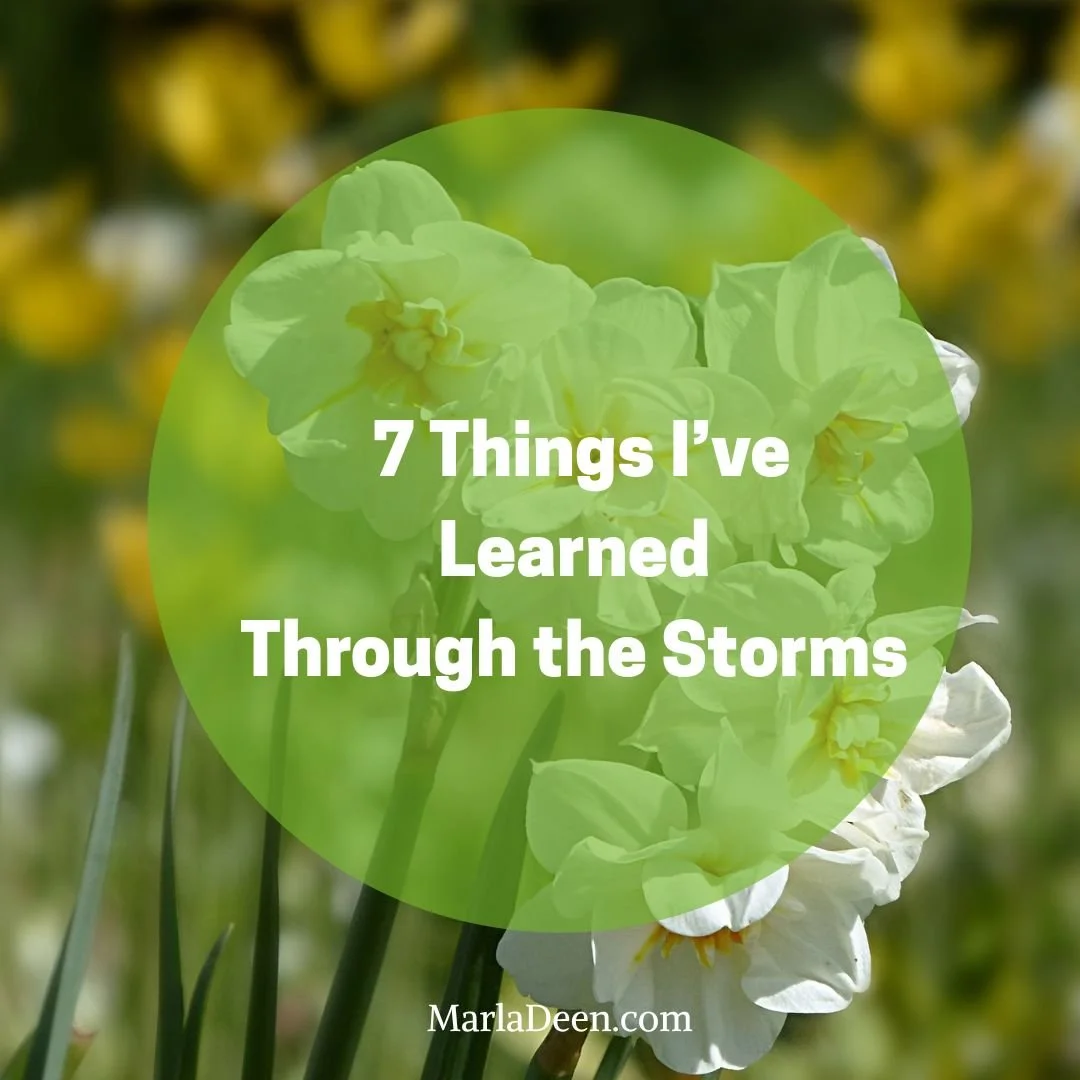 7 Things I've Learned from the Storms