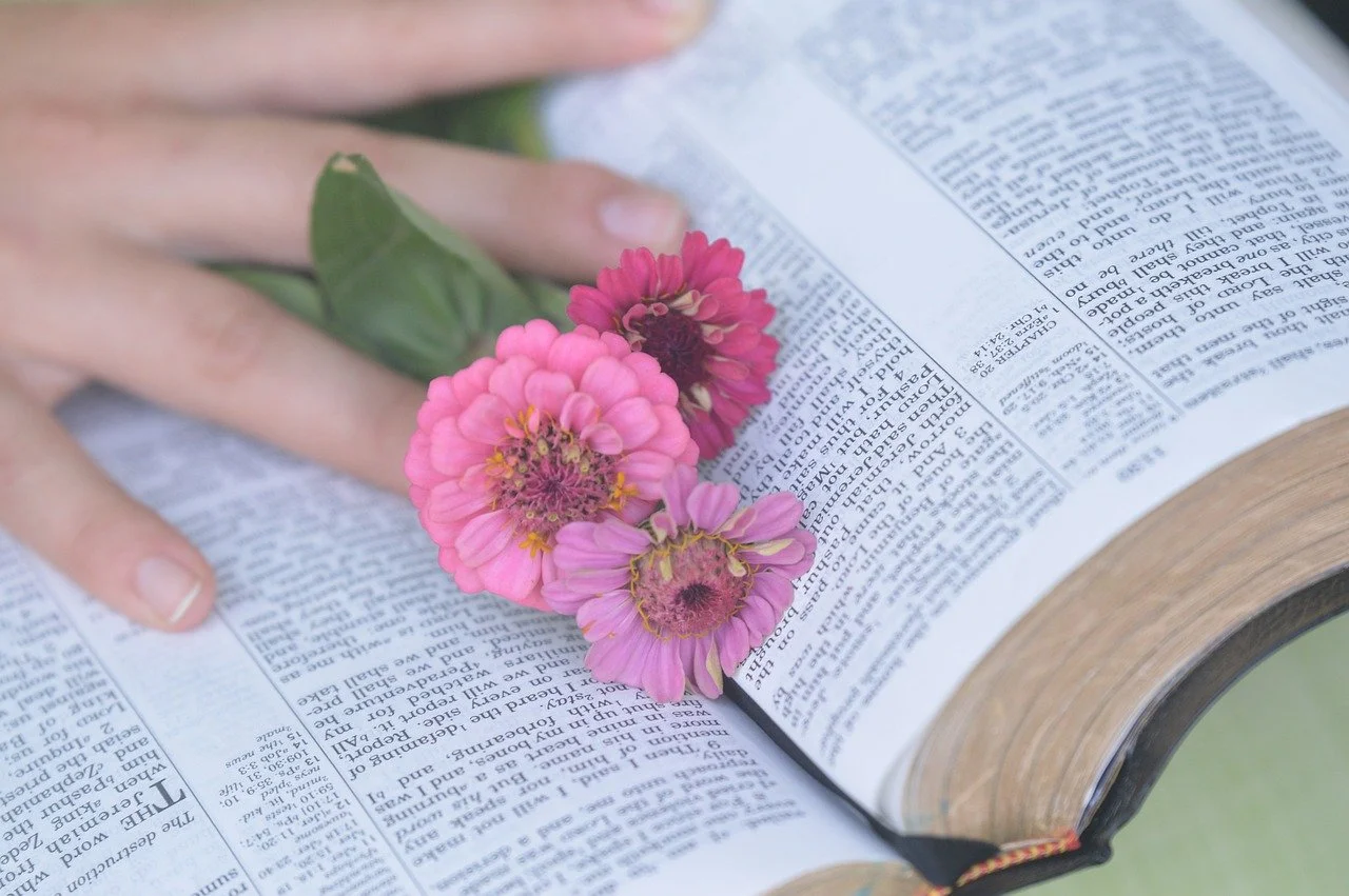 Ladies Bible Study