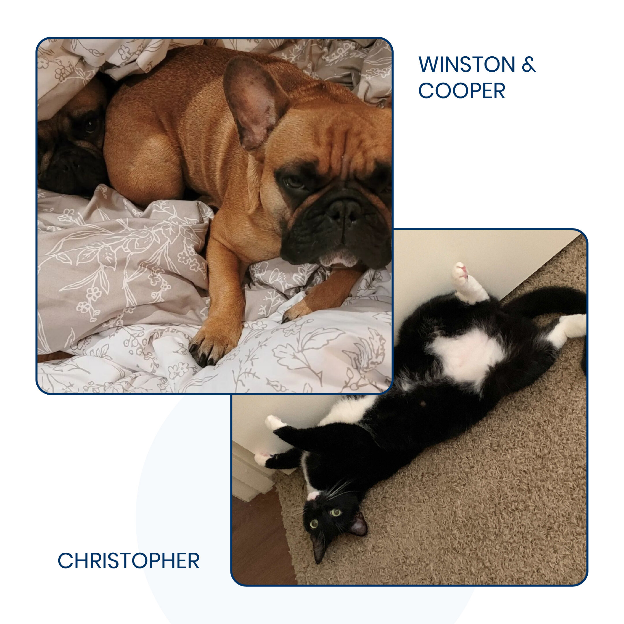 20210826_DogDay_slide5.jpg