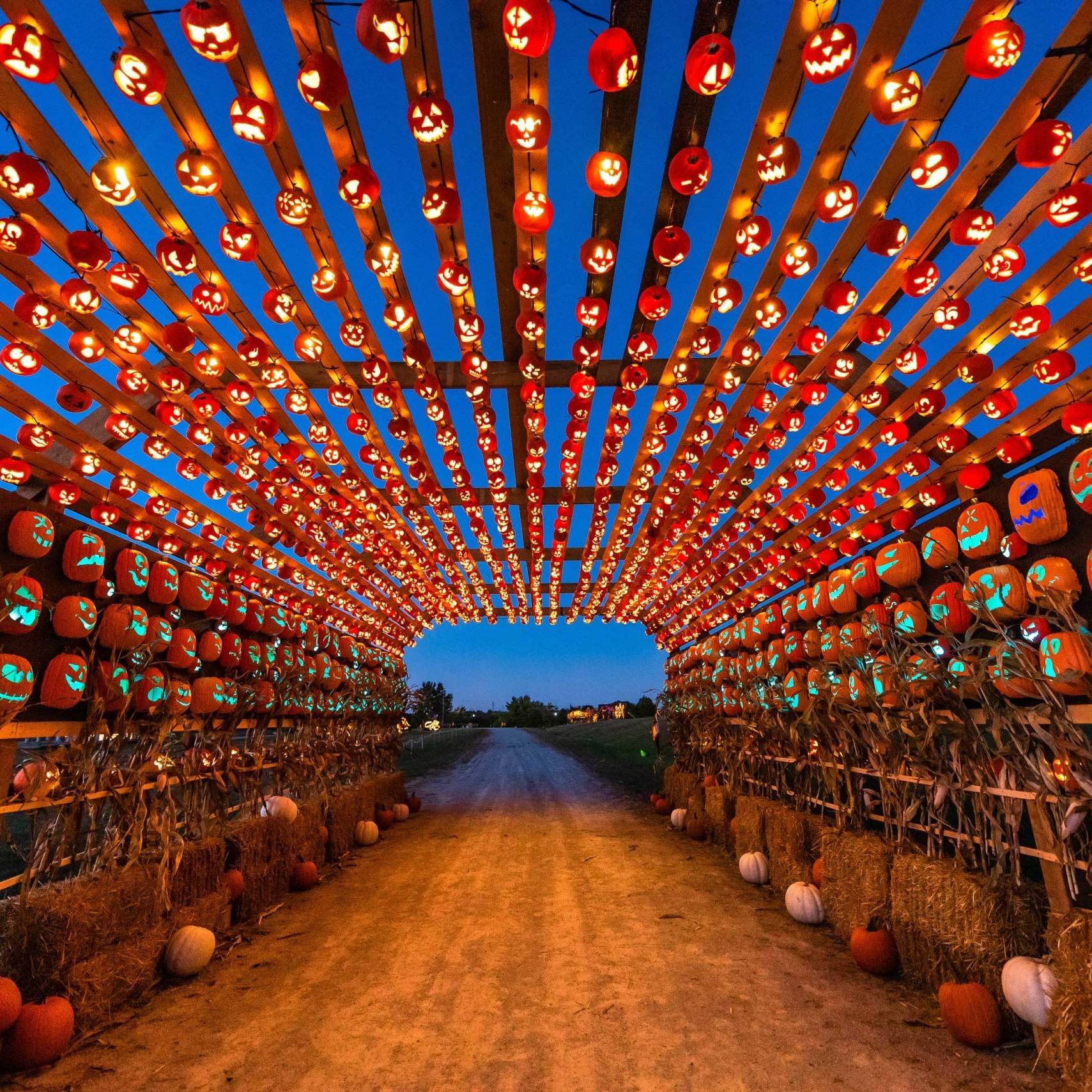 The Best Things to do in Edmonton this Weekend Sept 30 - Oct 2
