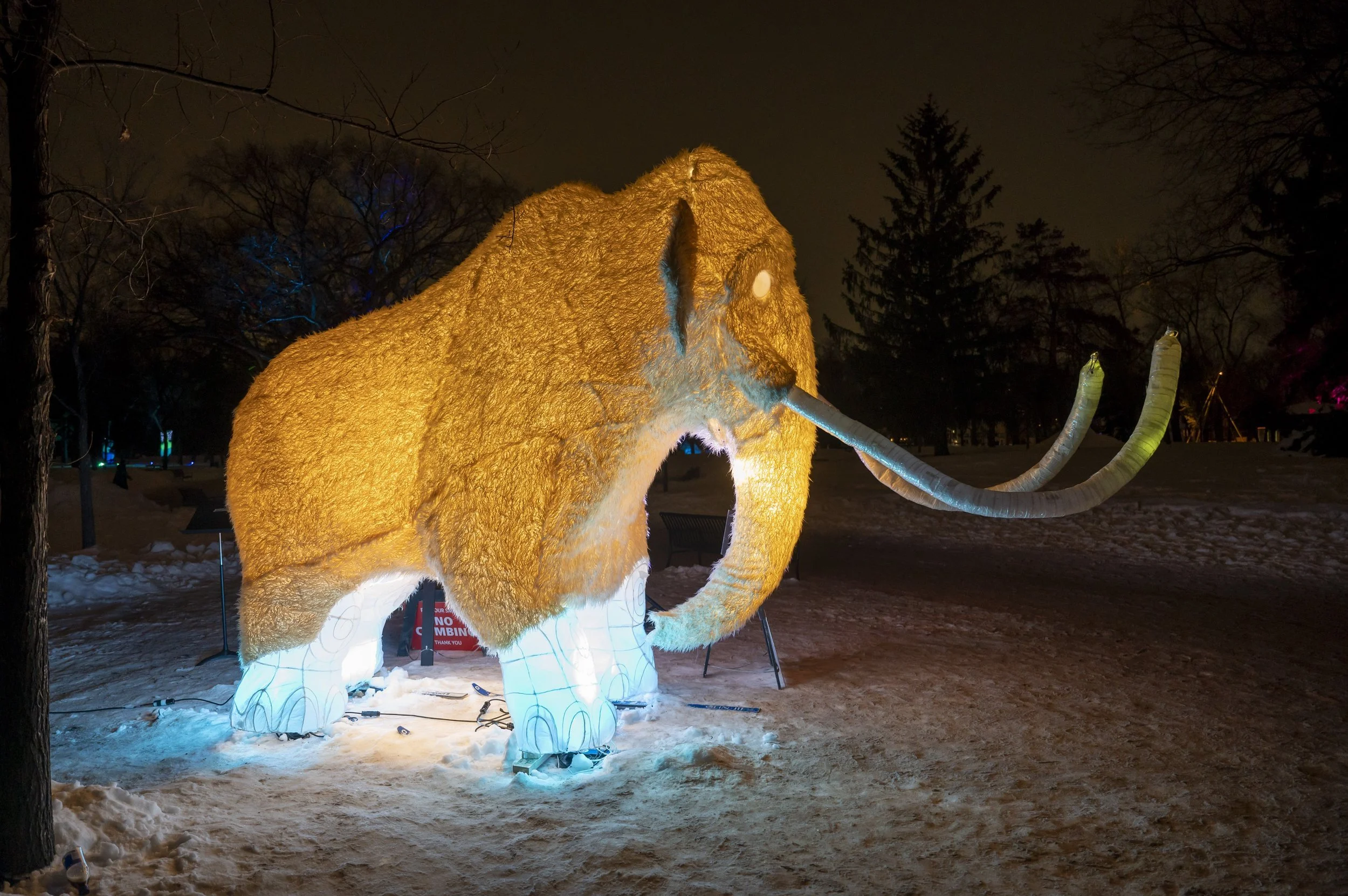 5 Alberta Winter Festivals to Explore in January