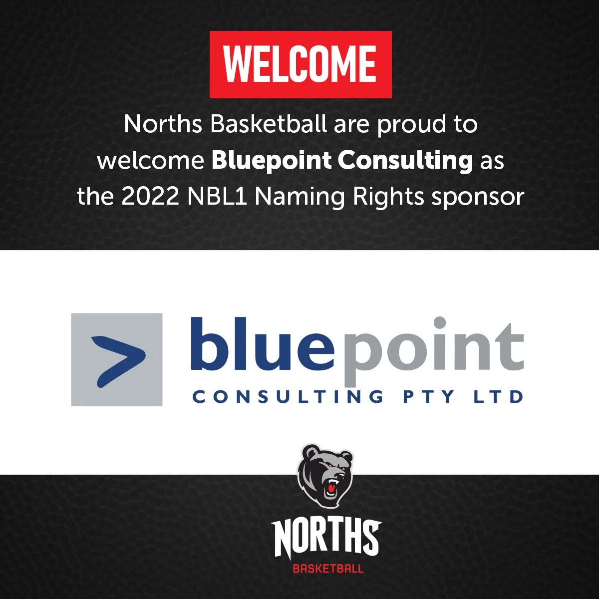 BLUEPOINT CONSULTING NORTHS BEARS