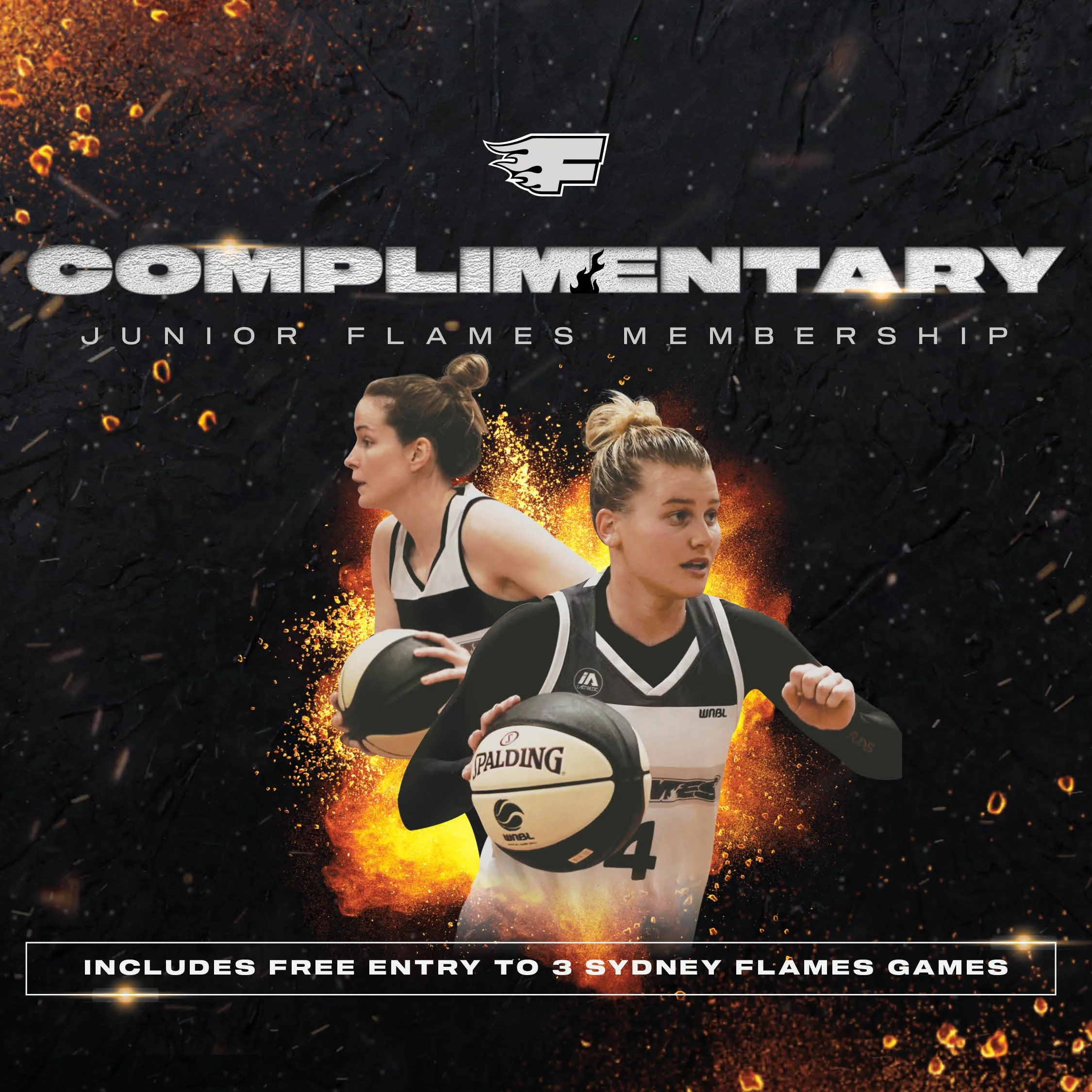 SYDNEY  FLAMES X NORTHS BEARS