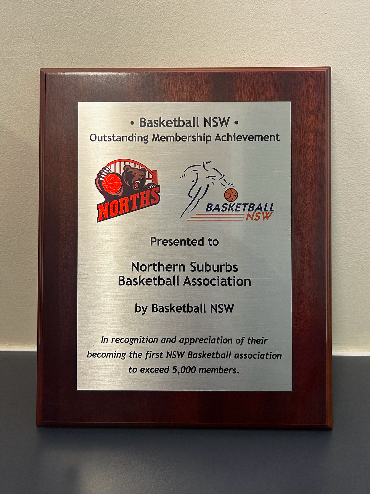 Basketball NSW Outstanding Membership Achievement