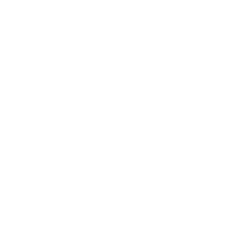 Olivia Photography