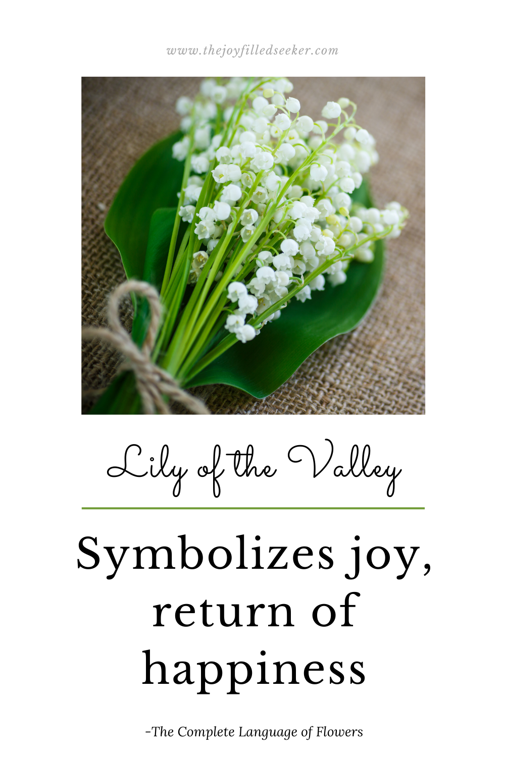 10 Flowers That Symbolize Joy — The Joyfilled Seeker