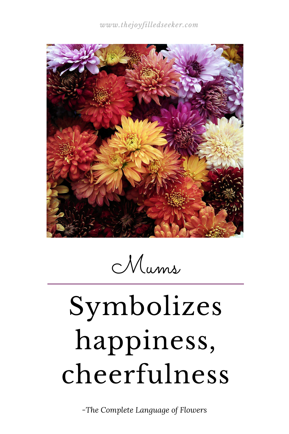10 Flowers That Symbolize Joy — The Joyfilled Seeker