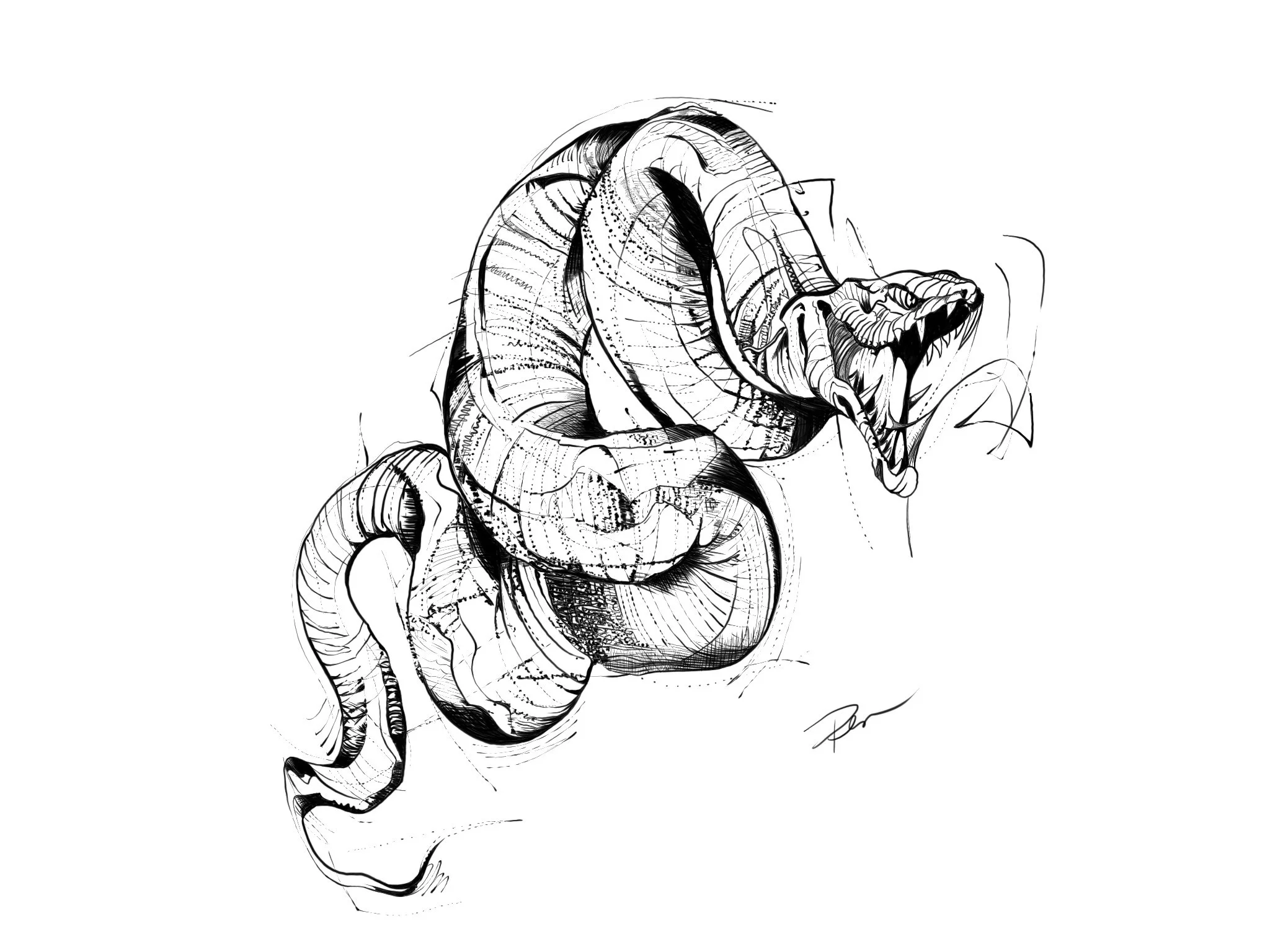 Untitled_Artwork 64.jpg