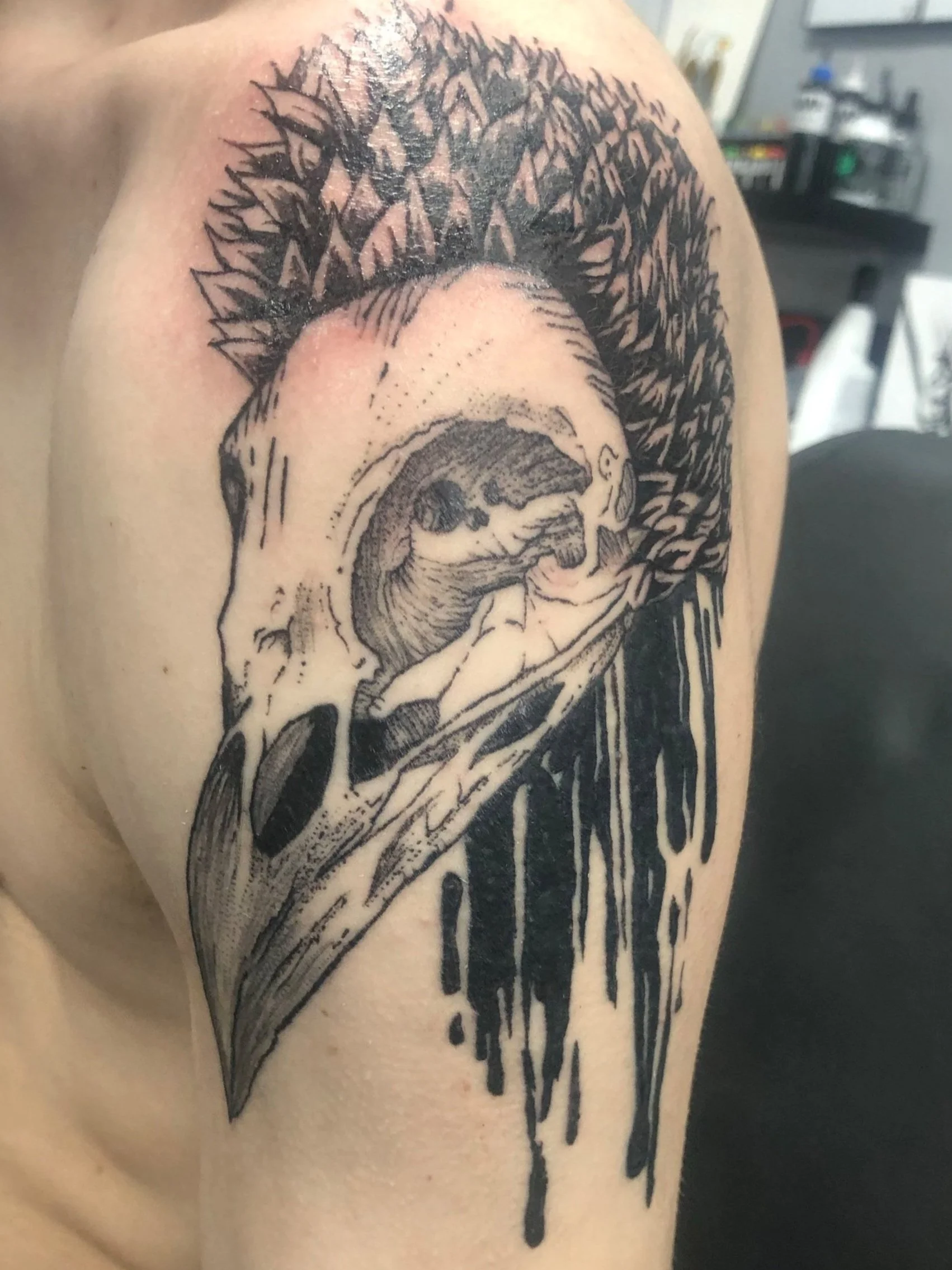 ravenskull1.jpg
