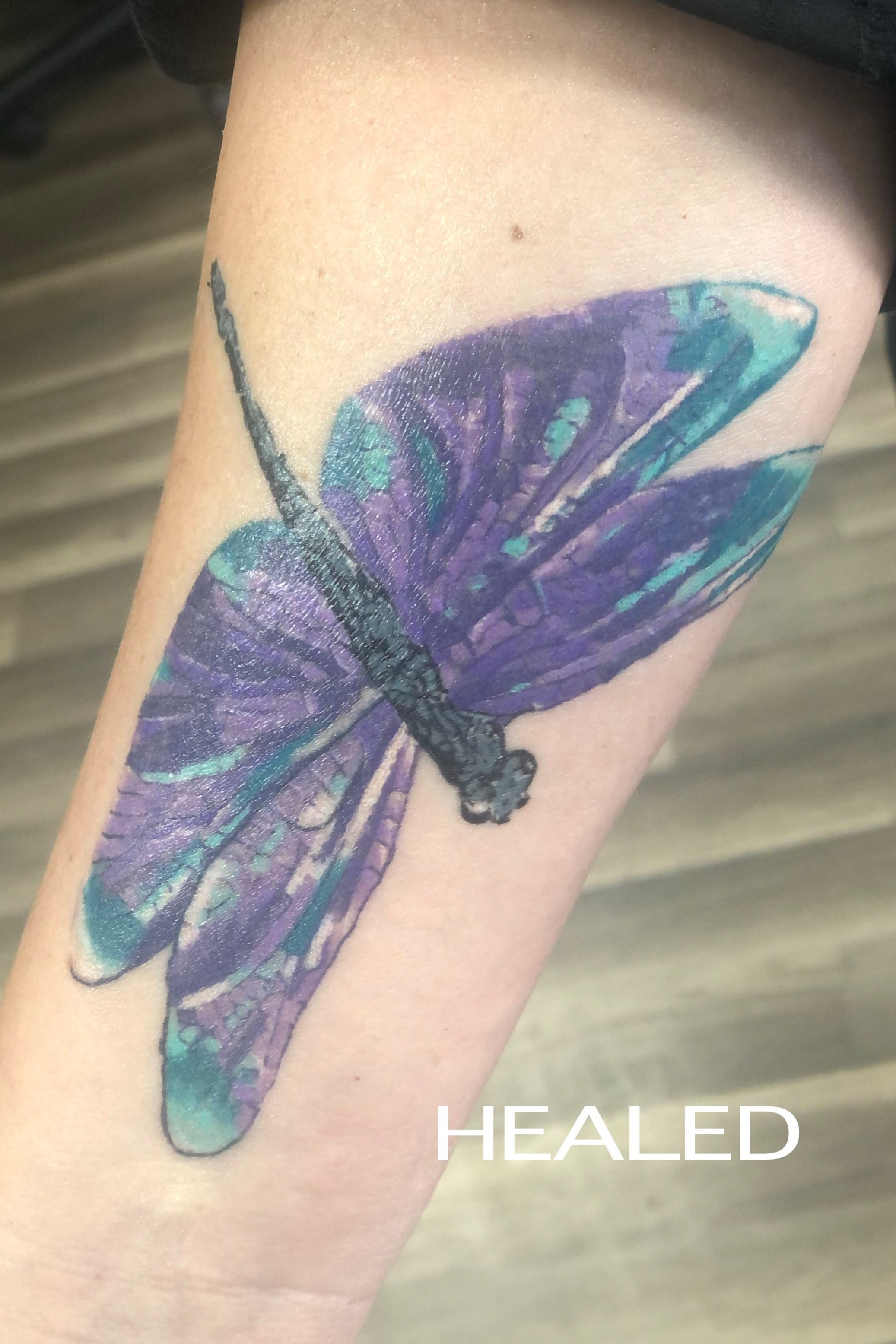 Dragonfly-healed2+copy.jpg