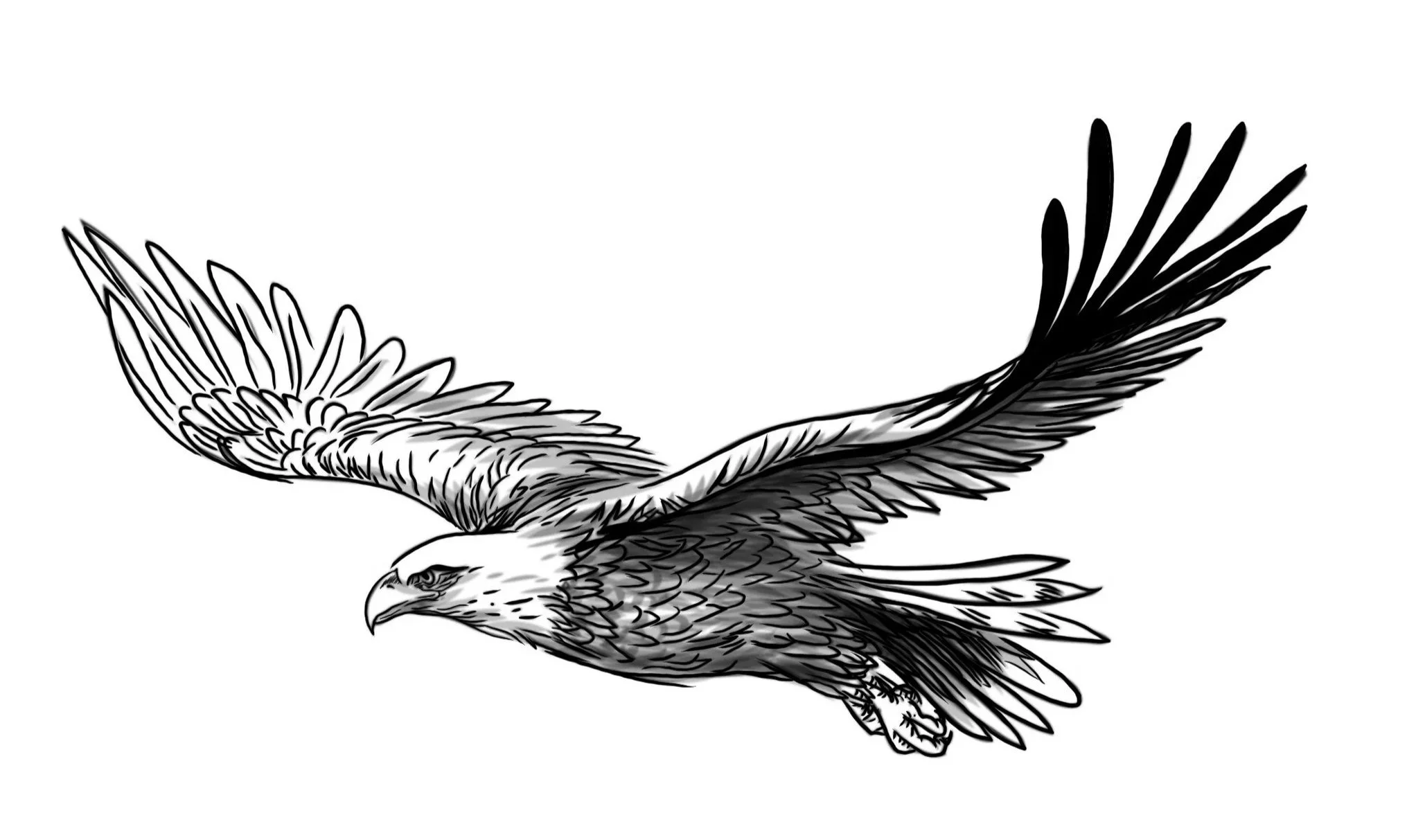 Eagle #1