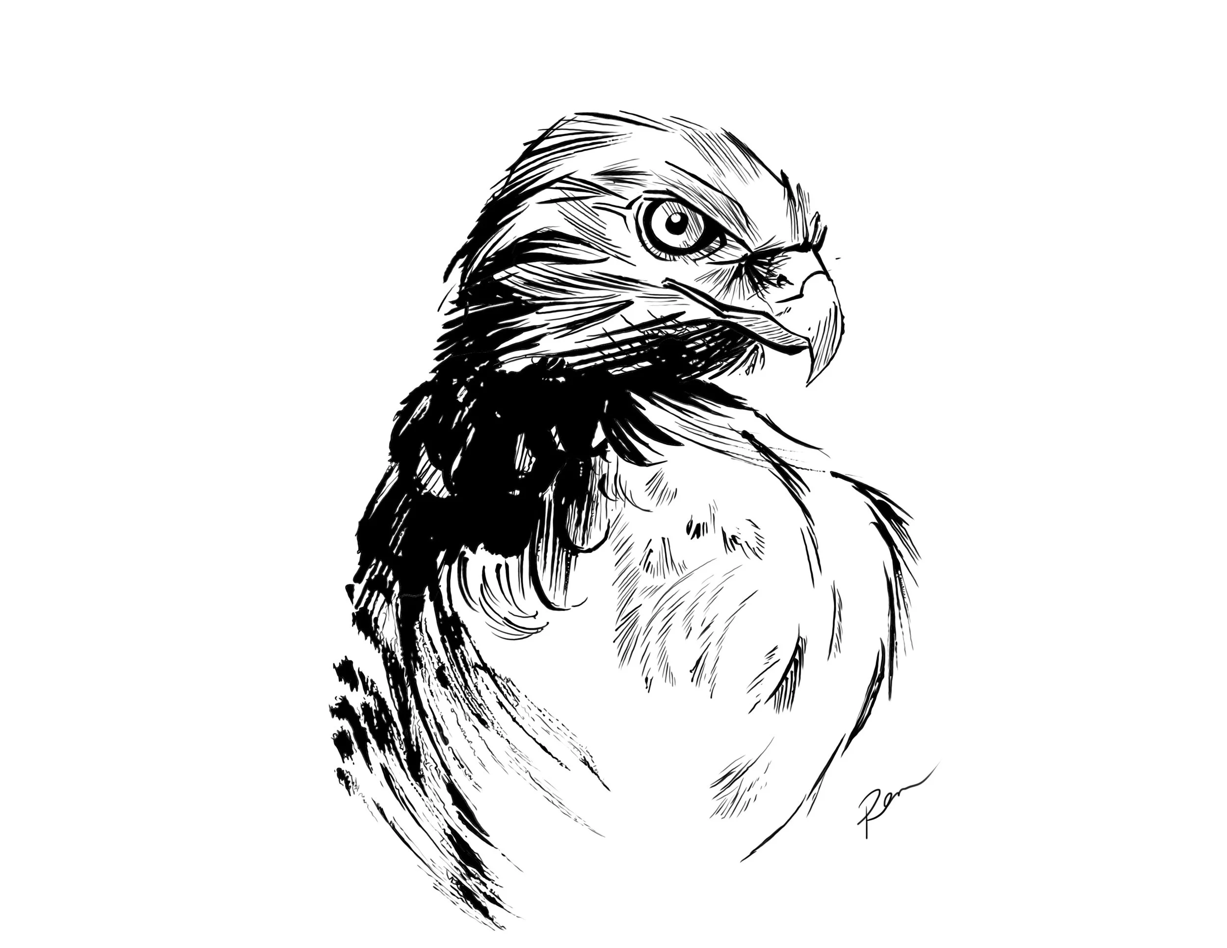 Untitled_Artwork 61.jpg