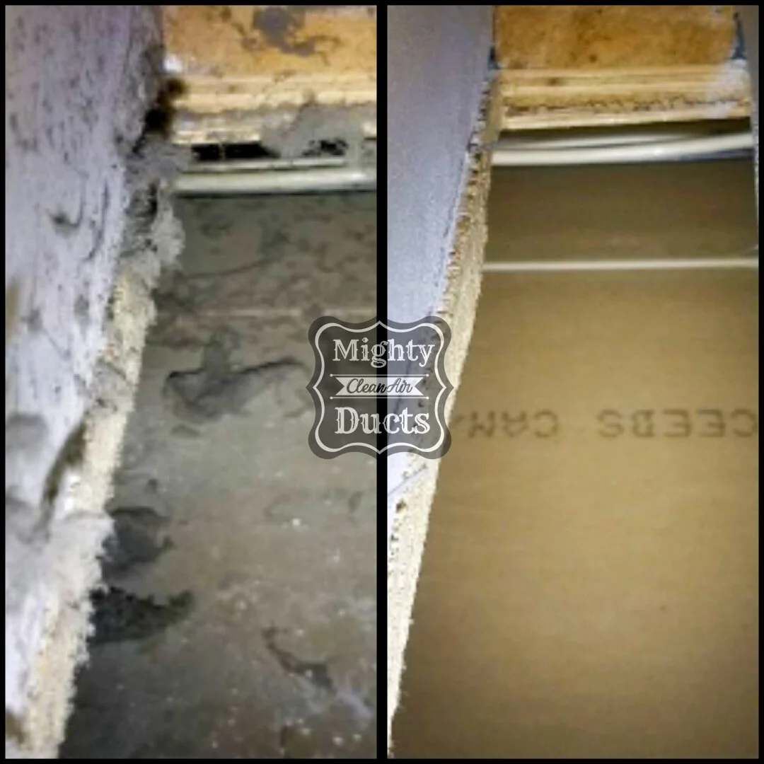 Photo Gallery — Mighty Clean Air Ducts Spokane