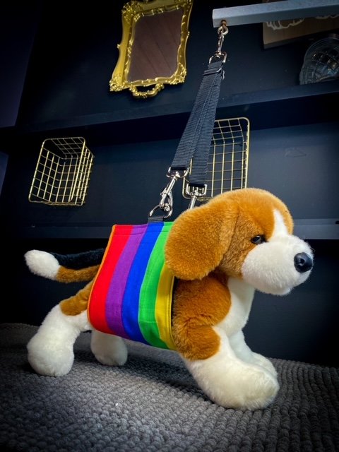 Belly band. - rainbow.jpeg