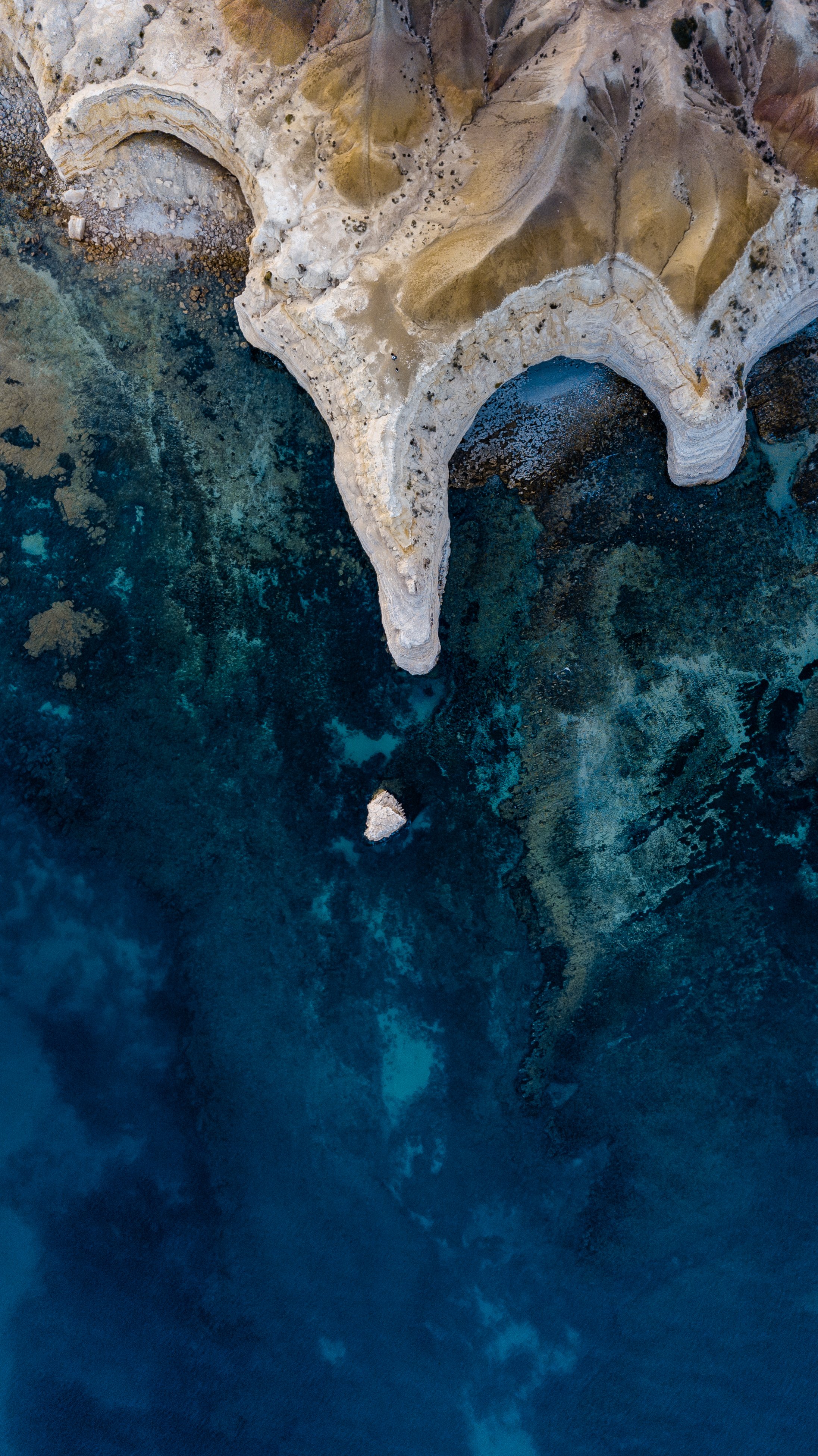 Gulls rise Drone 2.jpg
