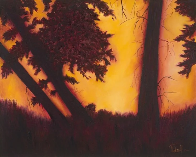 Silhouette of trees against an orange sunset with dark foreground