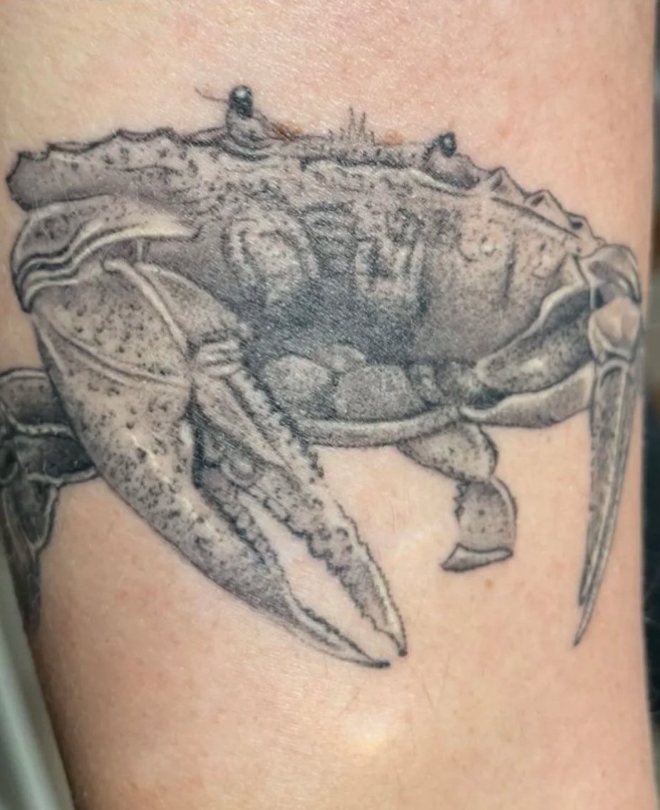 A black and gray tattoo of a crab on someone's skin, with the word 'HEALED' overlaid in black and white text.