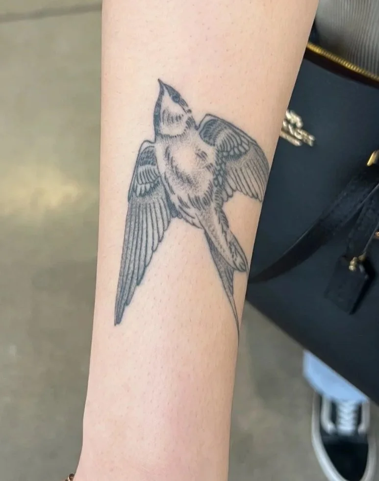Tattoo of a bird with open wings on a person's forearm.