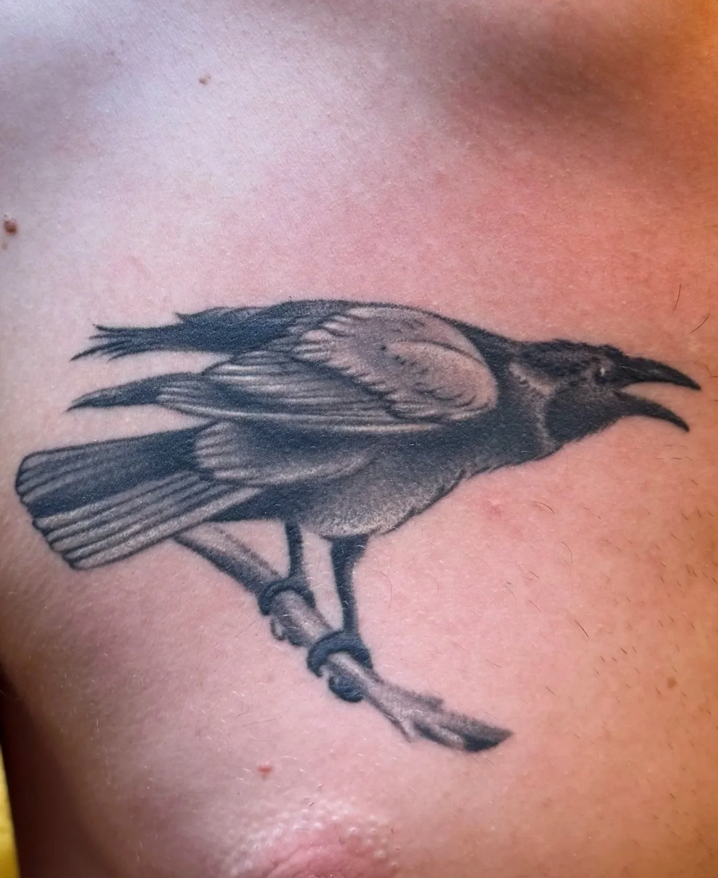 A black and grey tattoo of a bird perched on a branch on a person's chest.