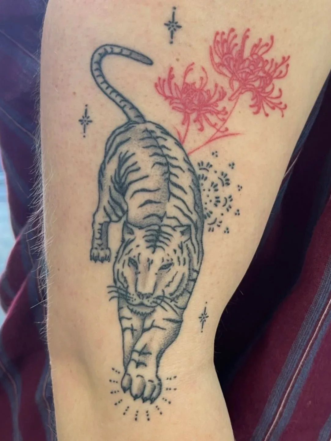 Tattoo of a tiger walking forward with two red flowers and black decorative elements.