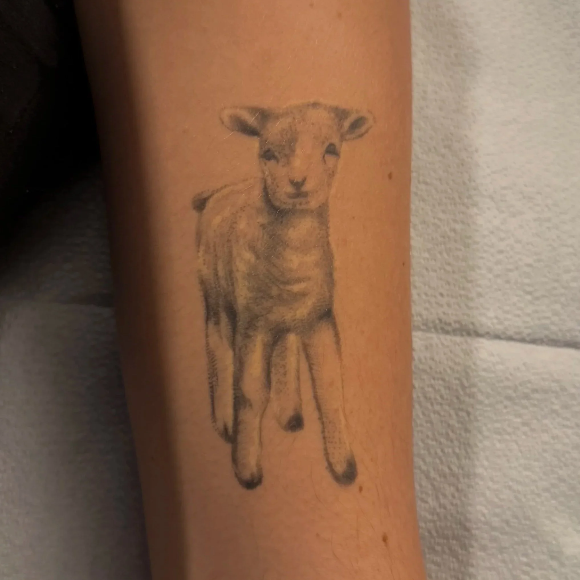 Close-up of a tattoo of a baby deer or fawn on a person's skin.