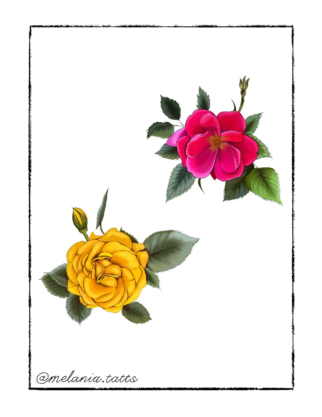 Illustration of a pink rose and a yellow rose with green leaves on a white background, with a black border and a signature '@melania.tatts'.