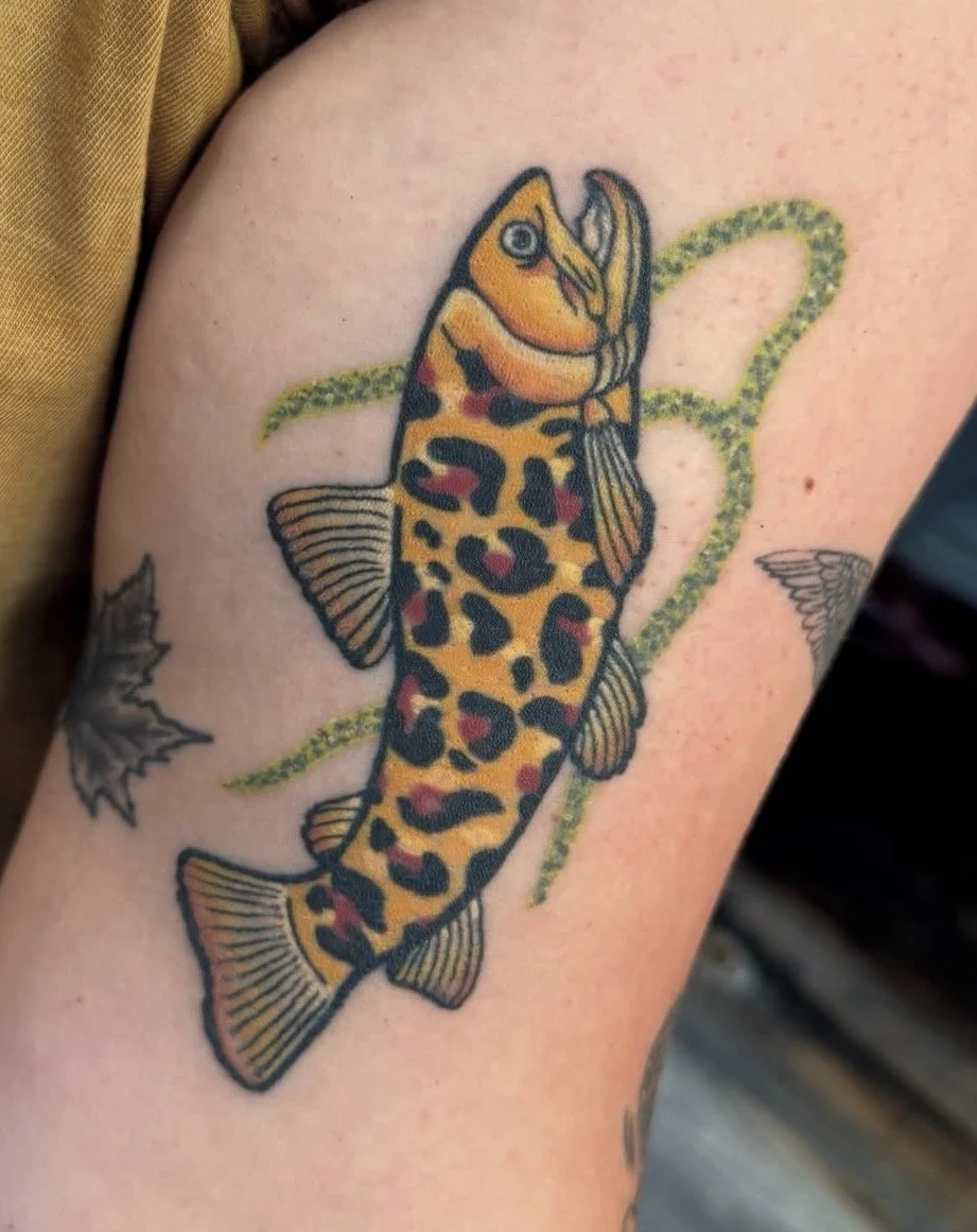 Colorful tattoo of a fish with a yellow and black patterned body, orange head, and detailed fins, surrounded by green aquatic plants on skin.