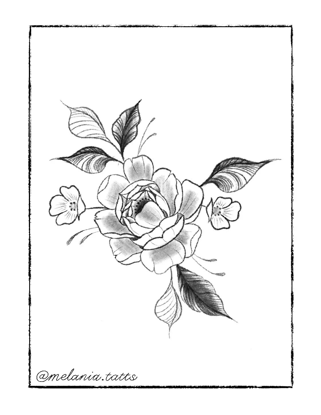 Black and white drawing of a large rose with leaves and smaller flowers, bordered with a thin black line, and the signature '@melania.tatts' at the bottom.
