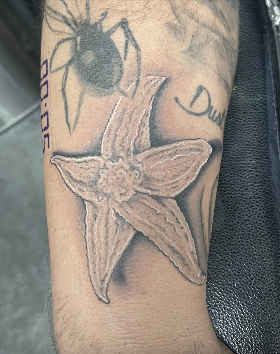 Screen Shot 2021-11-07 at 11.03.31 AM.png