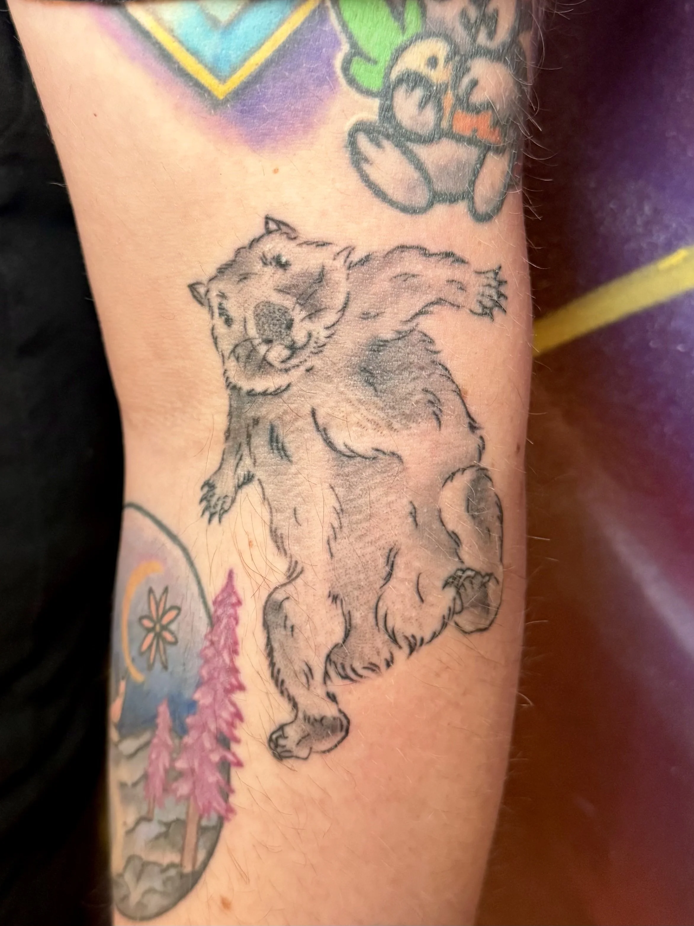 2025-11-21 14.18.50.jpg