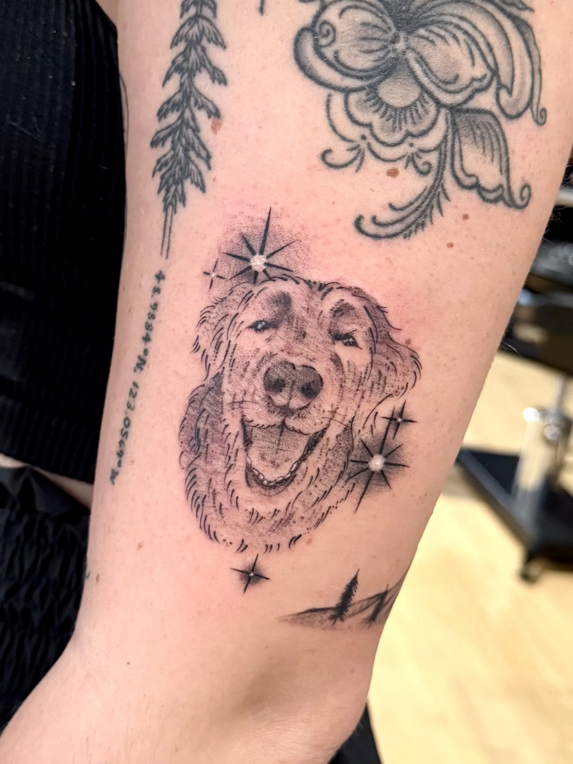 2025-10-06 18.11.25.jpg