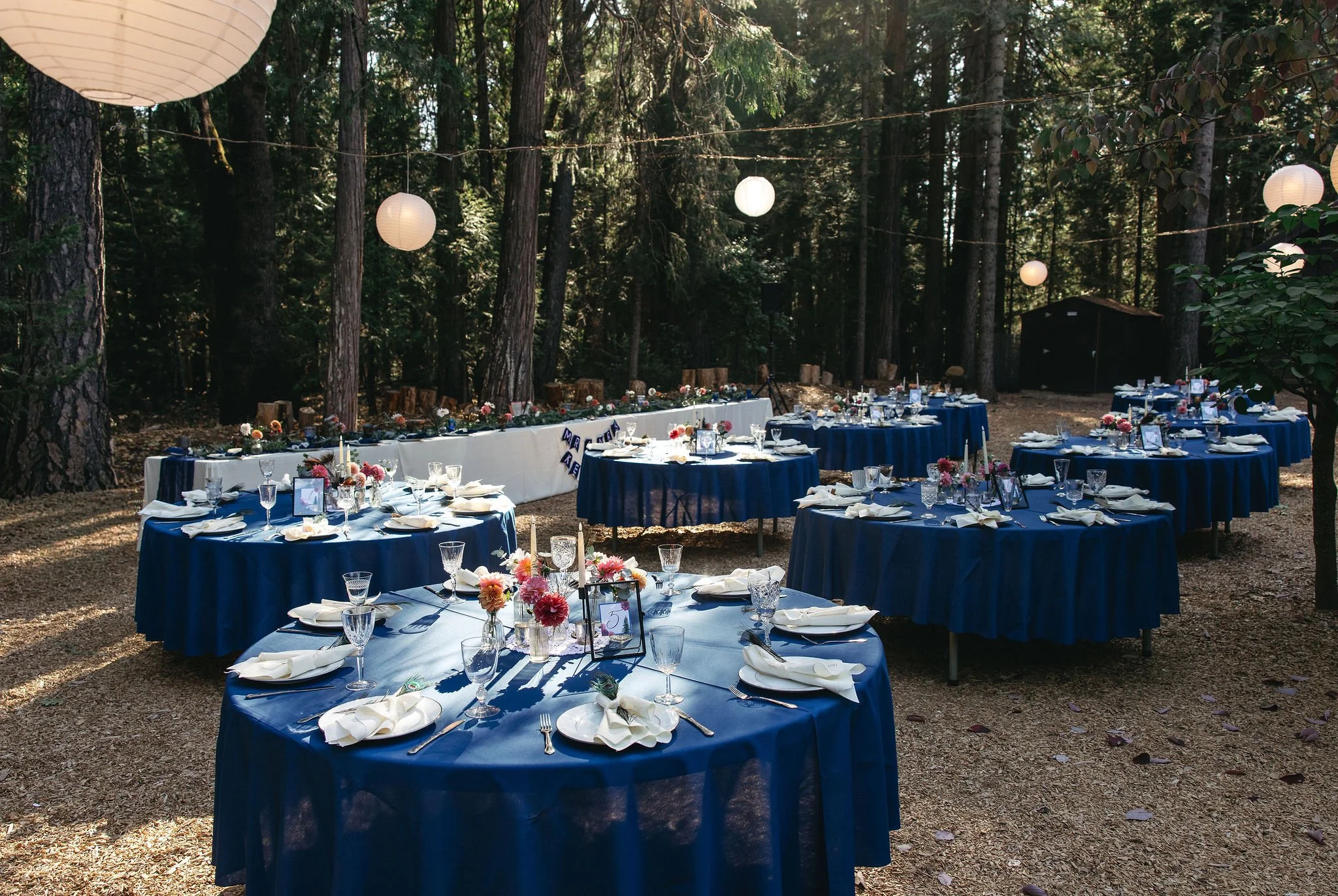 Outdoor event setup in the woods with round tables covered in blue tablecloths, decorated with flower arrangements, candles, and tableware, illuminated by hanging paper lanterns.
