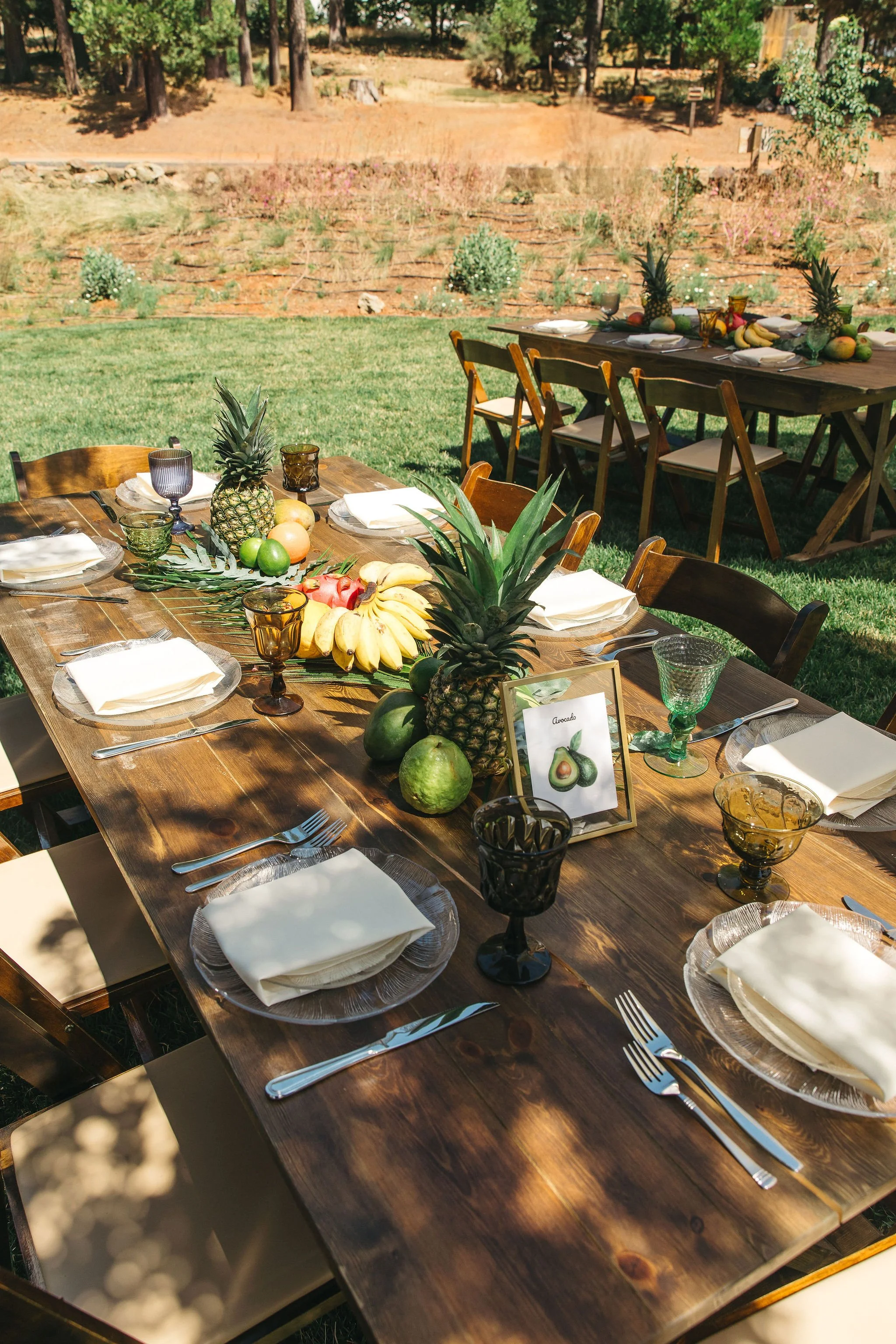 Outdoor dining table set with plates, napkins, silverware, colorful drinking glasses, and a centerpiece of pineapples, bananas, and other fresh fruits, in a garden setting.