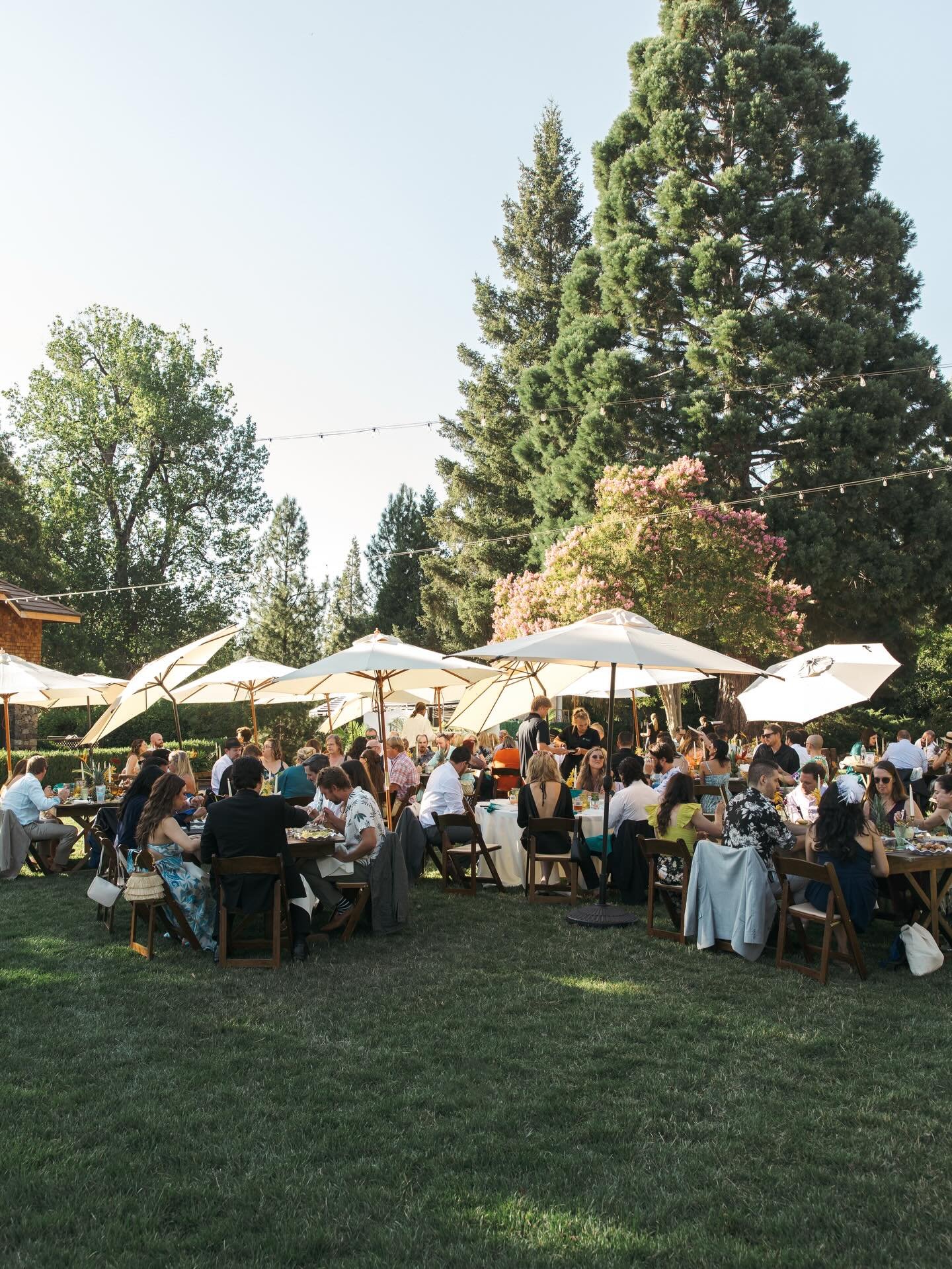 It&rsquo;s been months, and we&rsquo;re still not over Joy &amp; Robert&rsquo;s tropical wedding 🍍✨

Venue: @thenorthstarhouse  Photographer: @bryangallagherphoto  Planner: @wildandlovelyevents  DJ: @dj_rockalot  Beauty: @wanderlustbeautycollective 