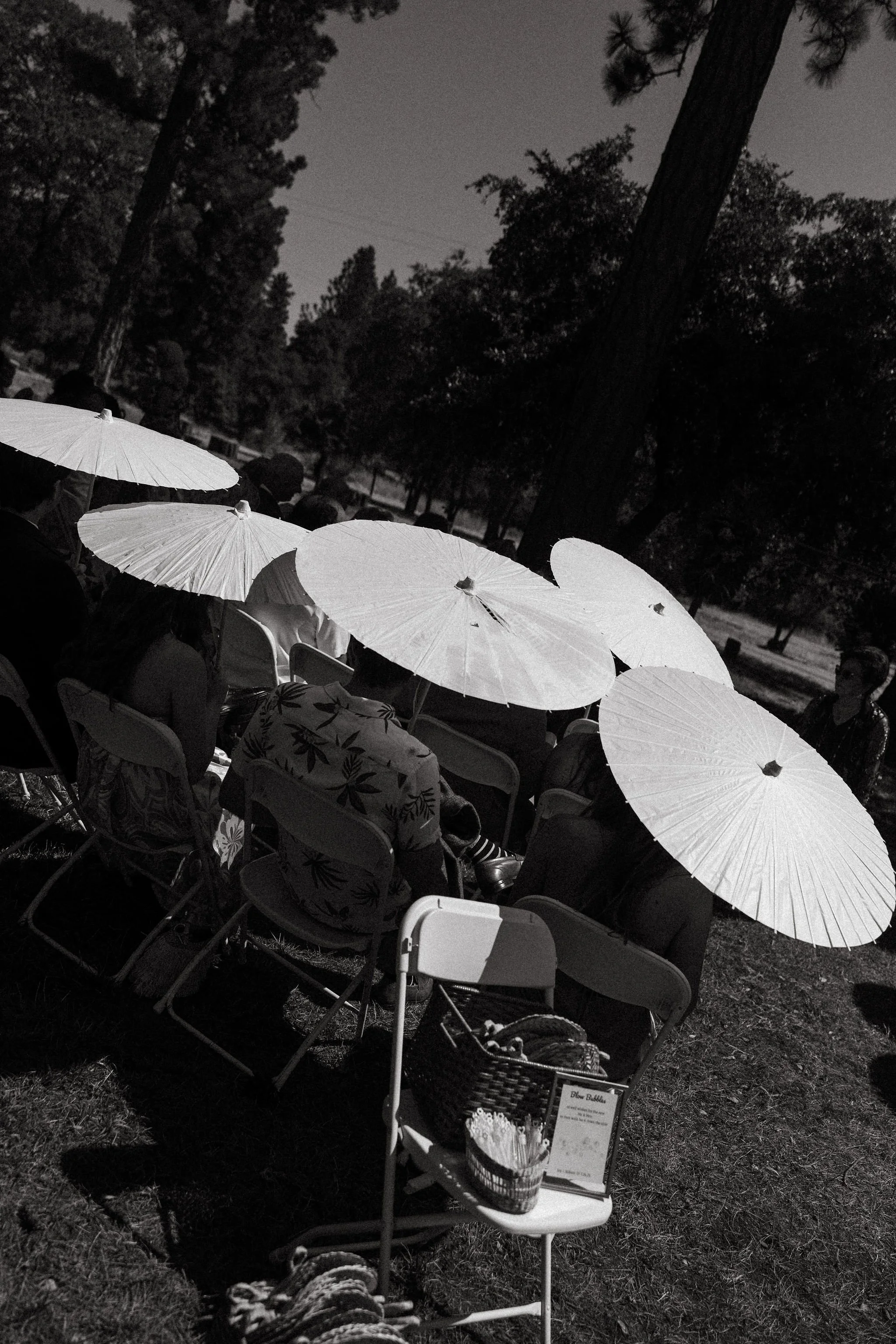 A black and white photo of an outdoor gathering with people sitting under white paper umbrellas in a park with trees.