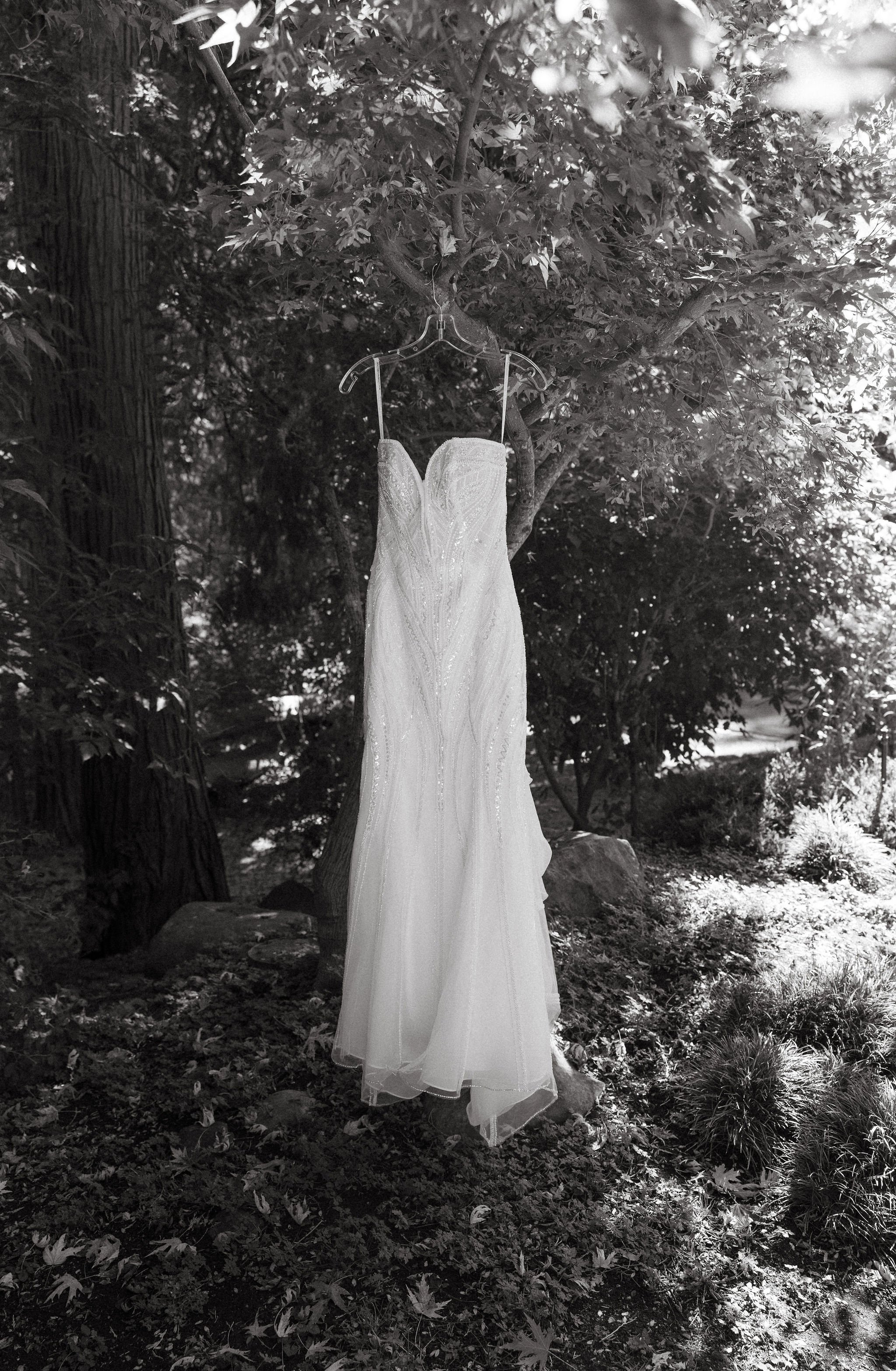 A wedding dress hanging from a tree branch in a garden with sunlight filtering through the leaves, in black and white.