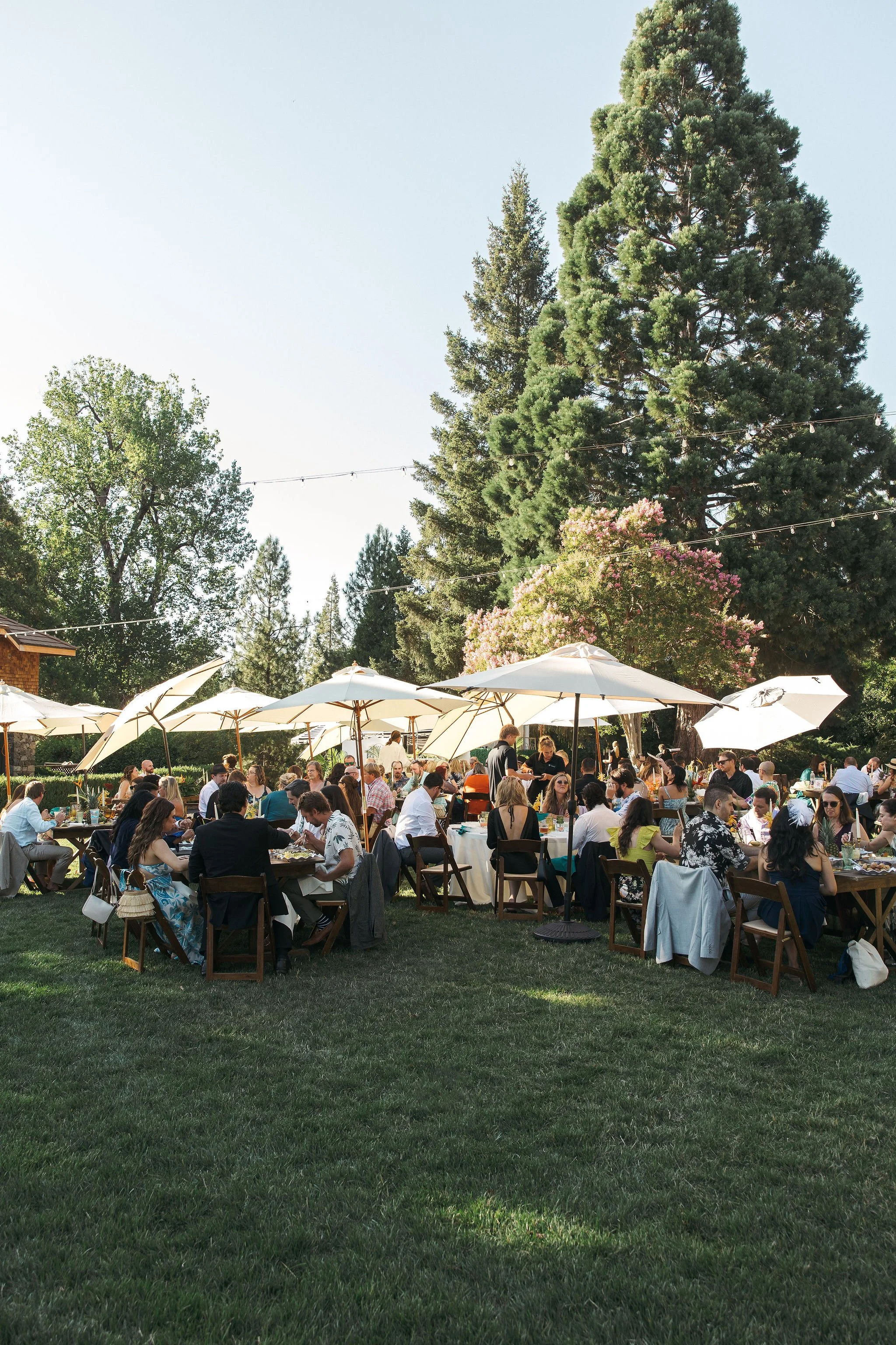 Outdoor gathering with many people seated at tables under large white umbrellas, surrounded by tall trees and a bright sky.