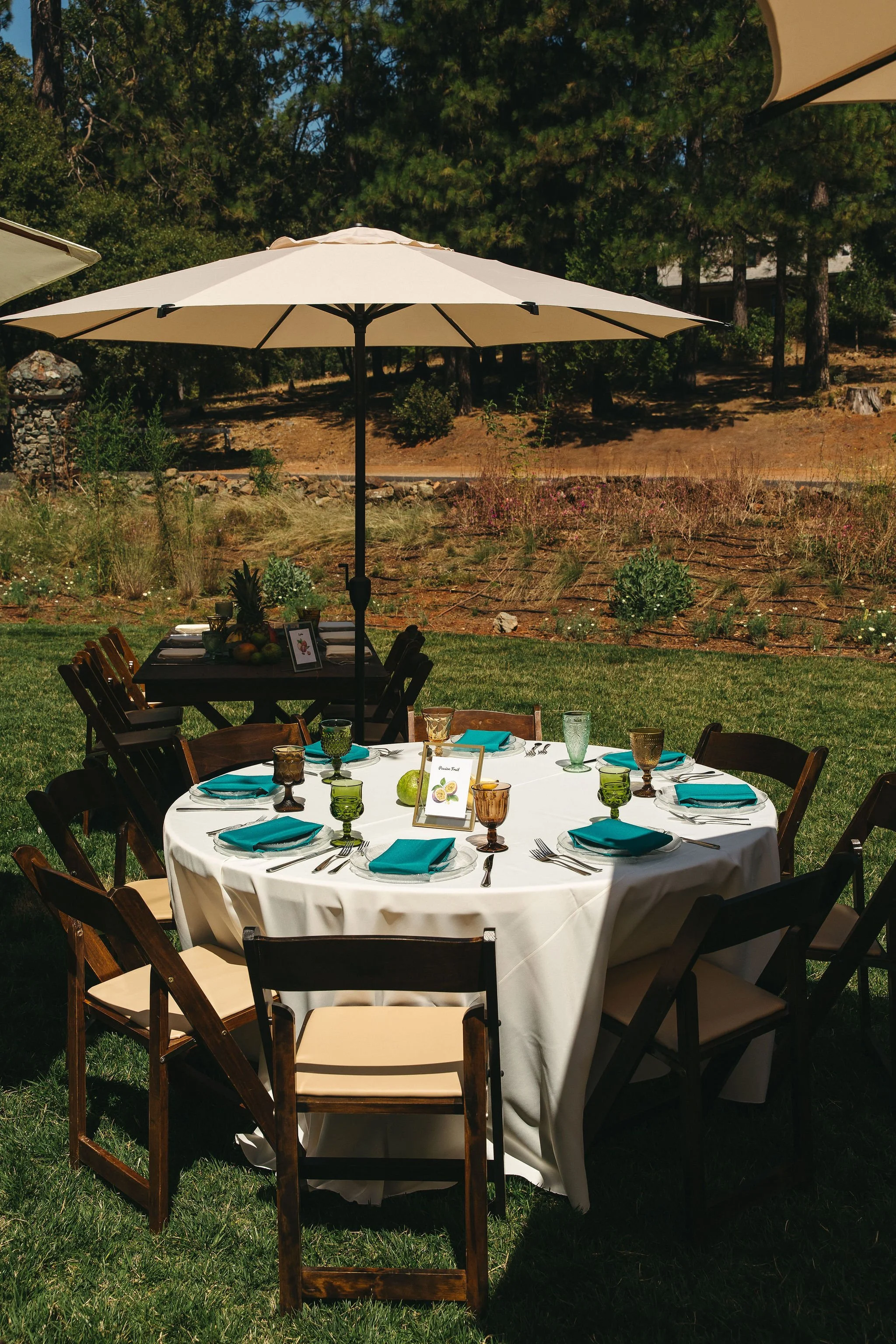 Outdoor dining setup with a round table covered with a white tablecloth, set with turquoise napkins, glassware, cutlery, and a framed menu, shaded by a large beach umbrella on a grassy lawn.